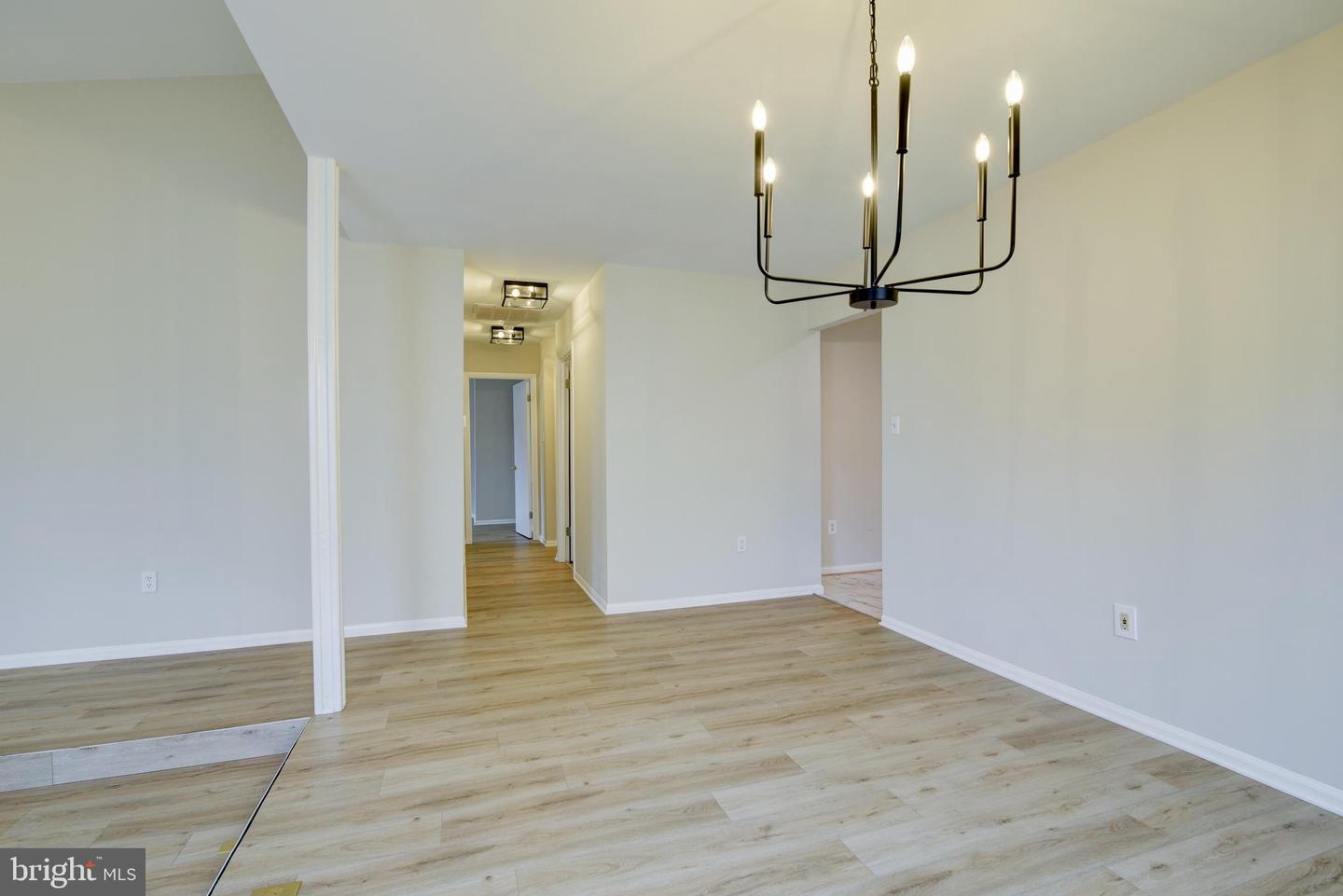 1706 Fantasia CIRCLE
