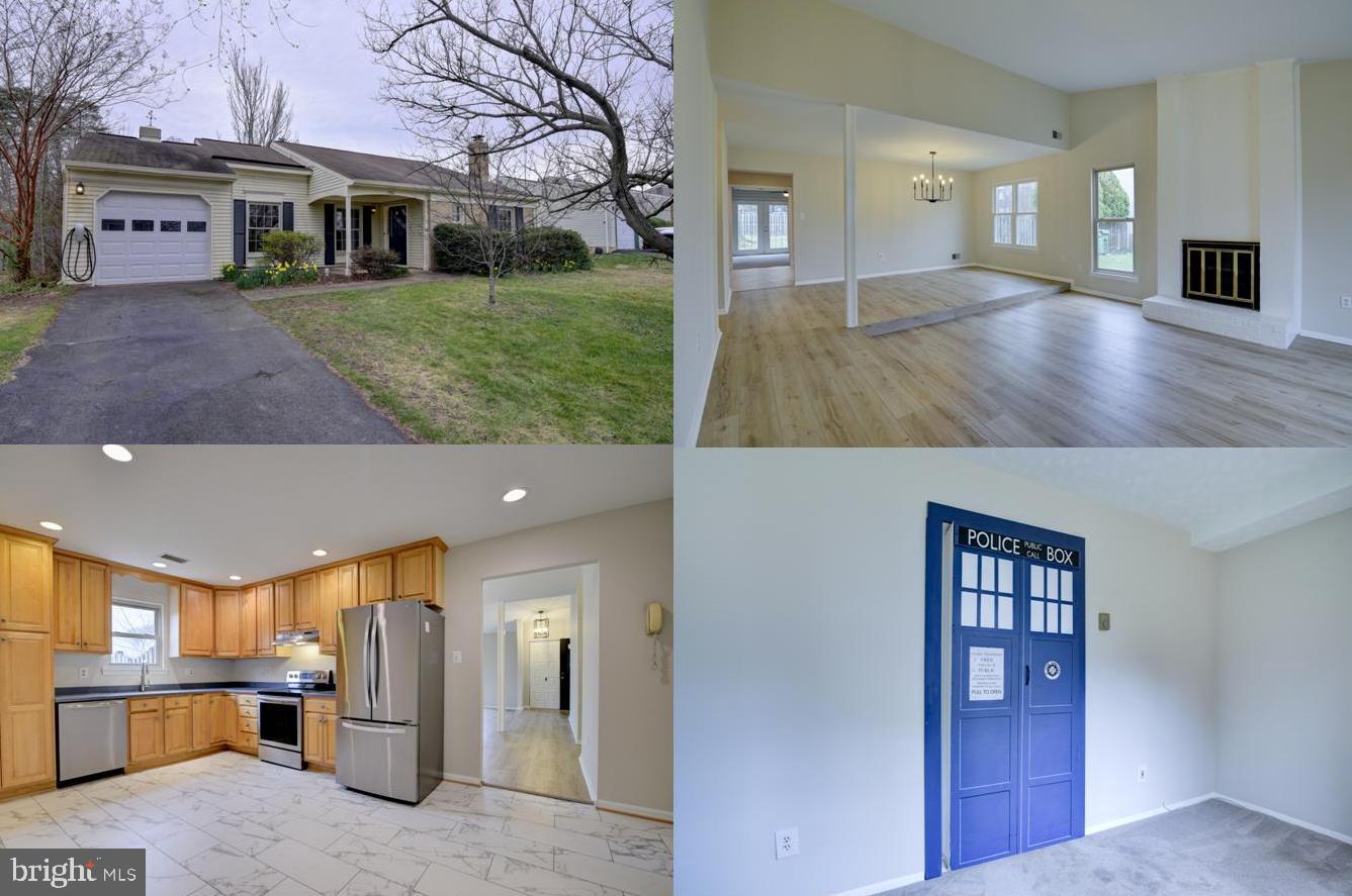 1706 Fantasia CIRCLE