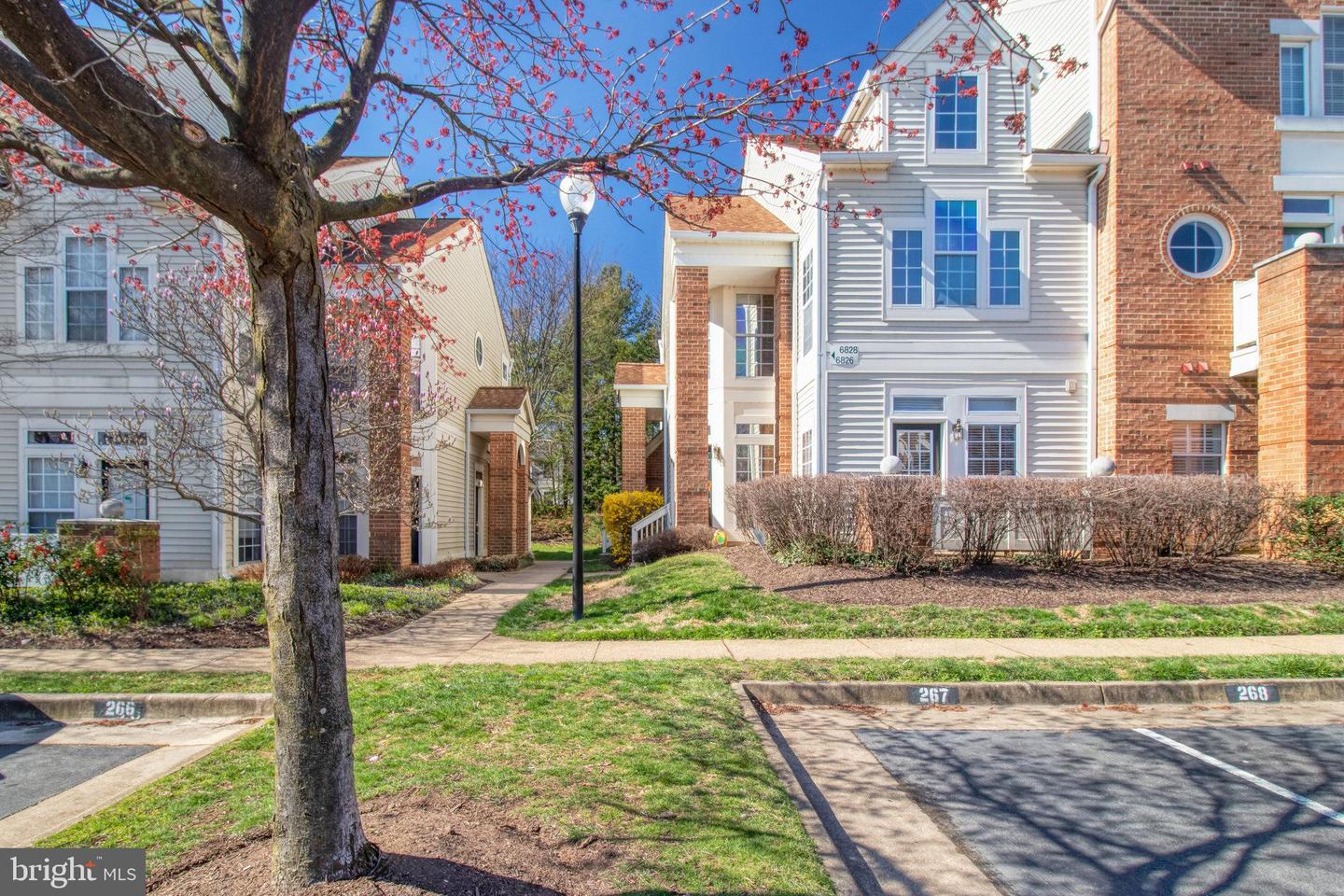 6828 Brindle Heath WAY Unit: 250