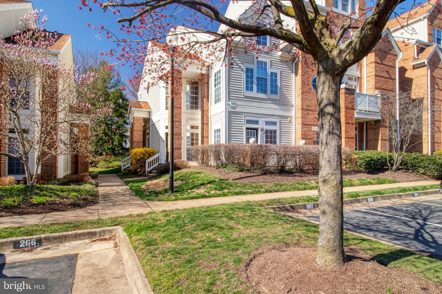 6828 Brindle Heath WAY Unit: 250
