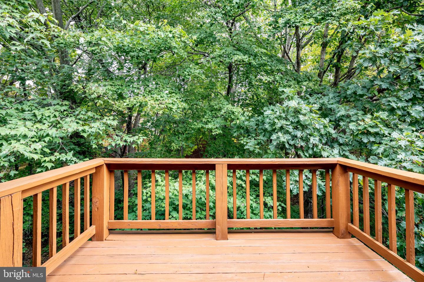 2235 Cedar Cove COURT