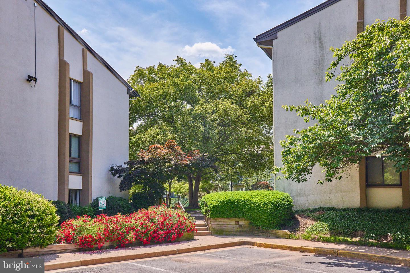 617 Center STREET Unit: 204