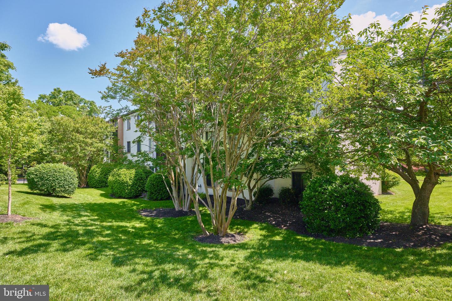 617 Center STREET Unit: 204