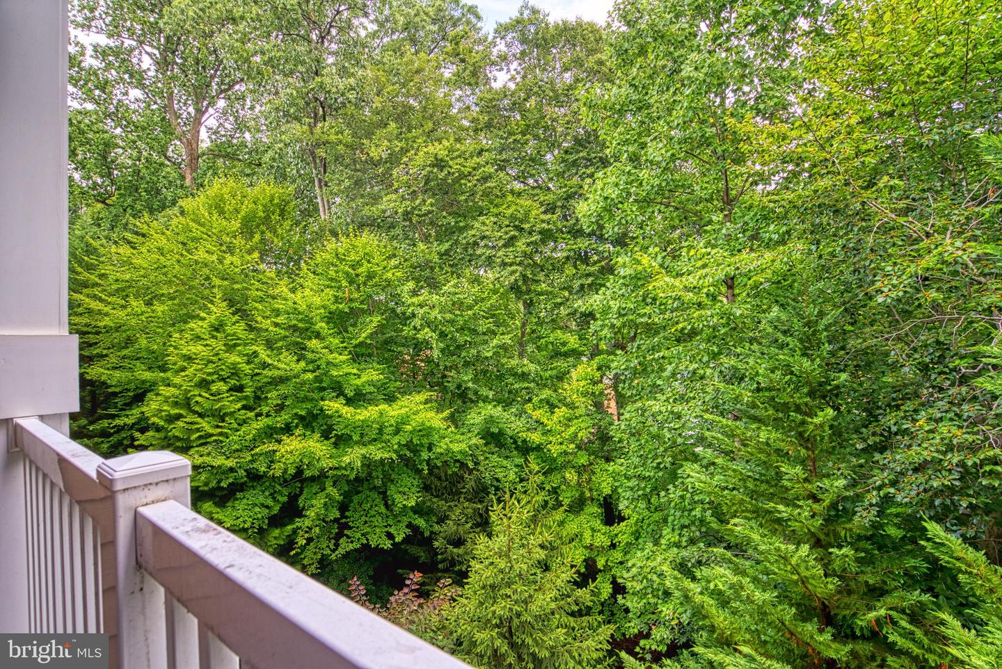 7880 Rolling Woods COURT Unit: 304