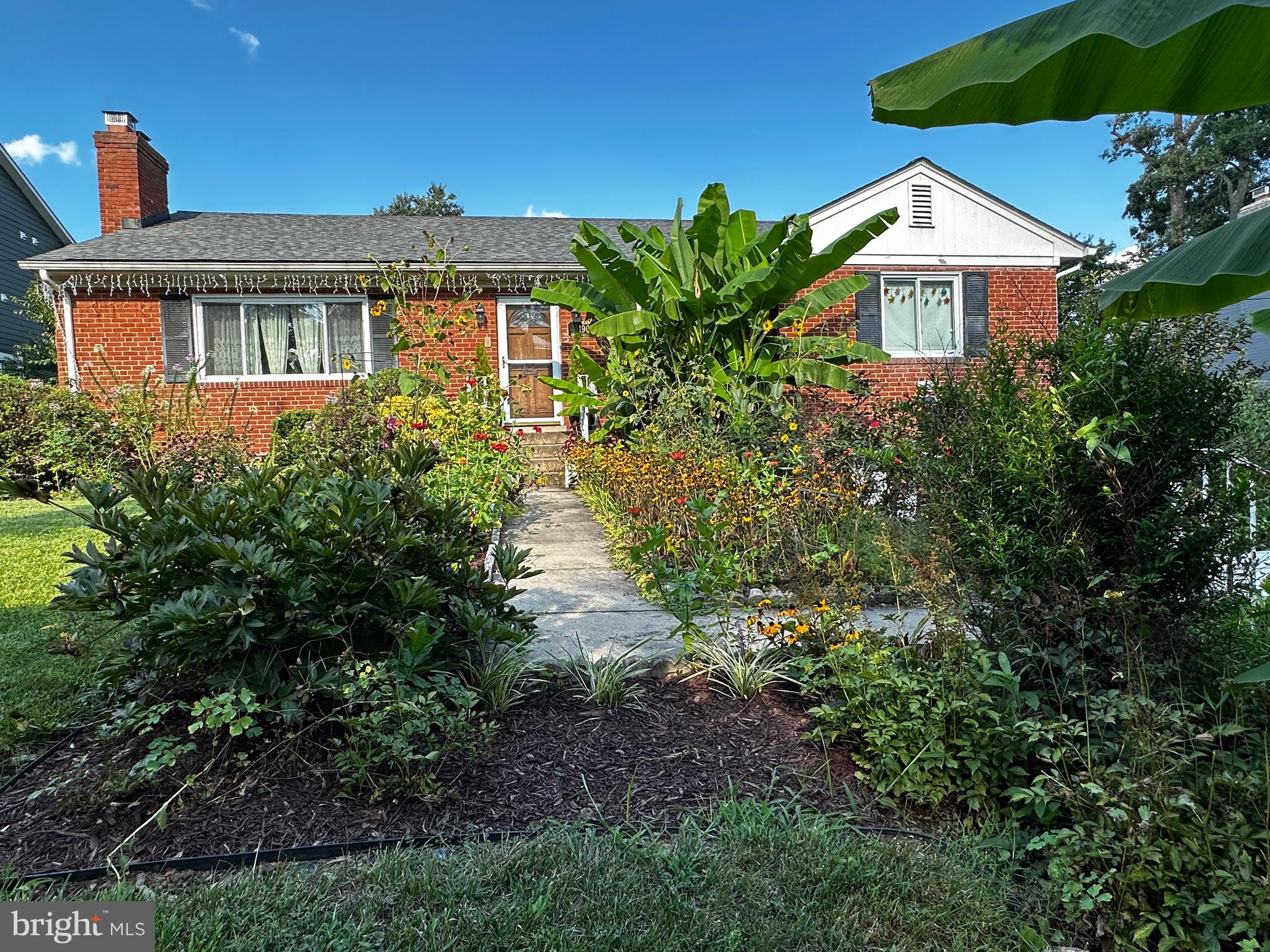 1907 Great Falls STREET