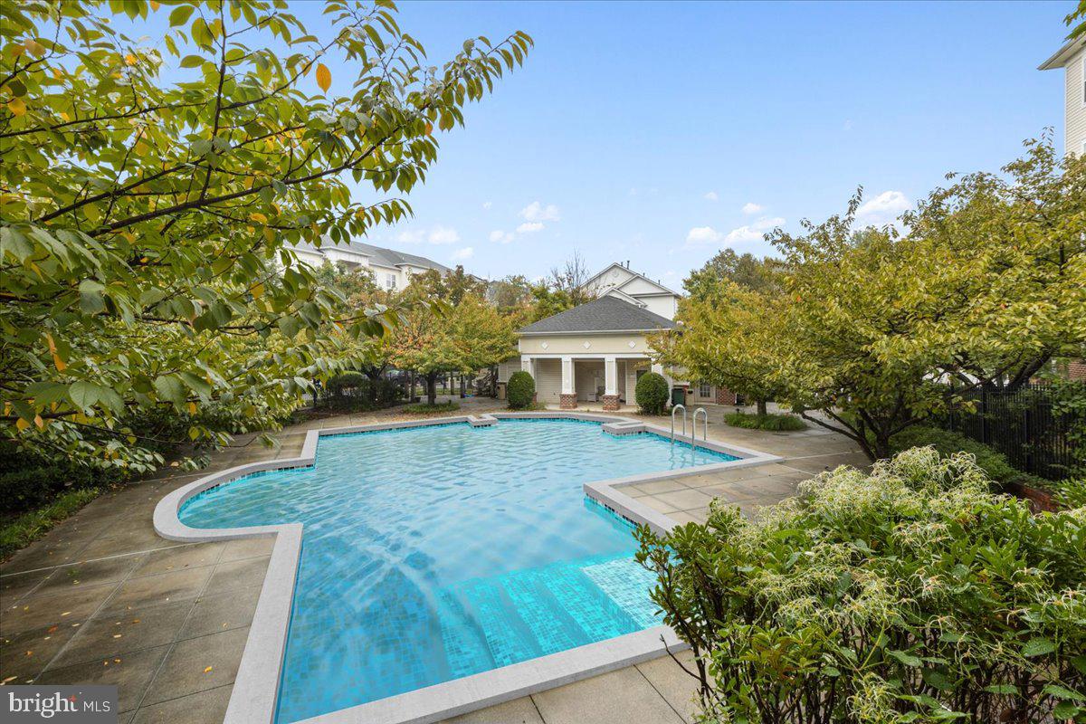 2911 Deer Hollow WAY Unit: 217