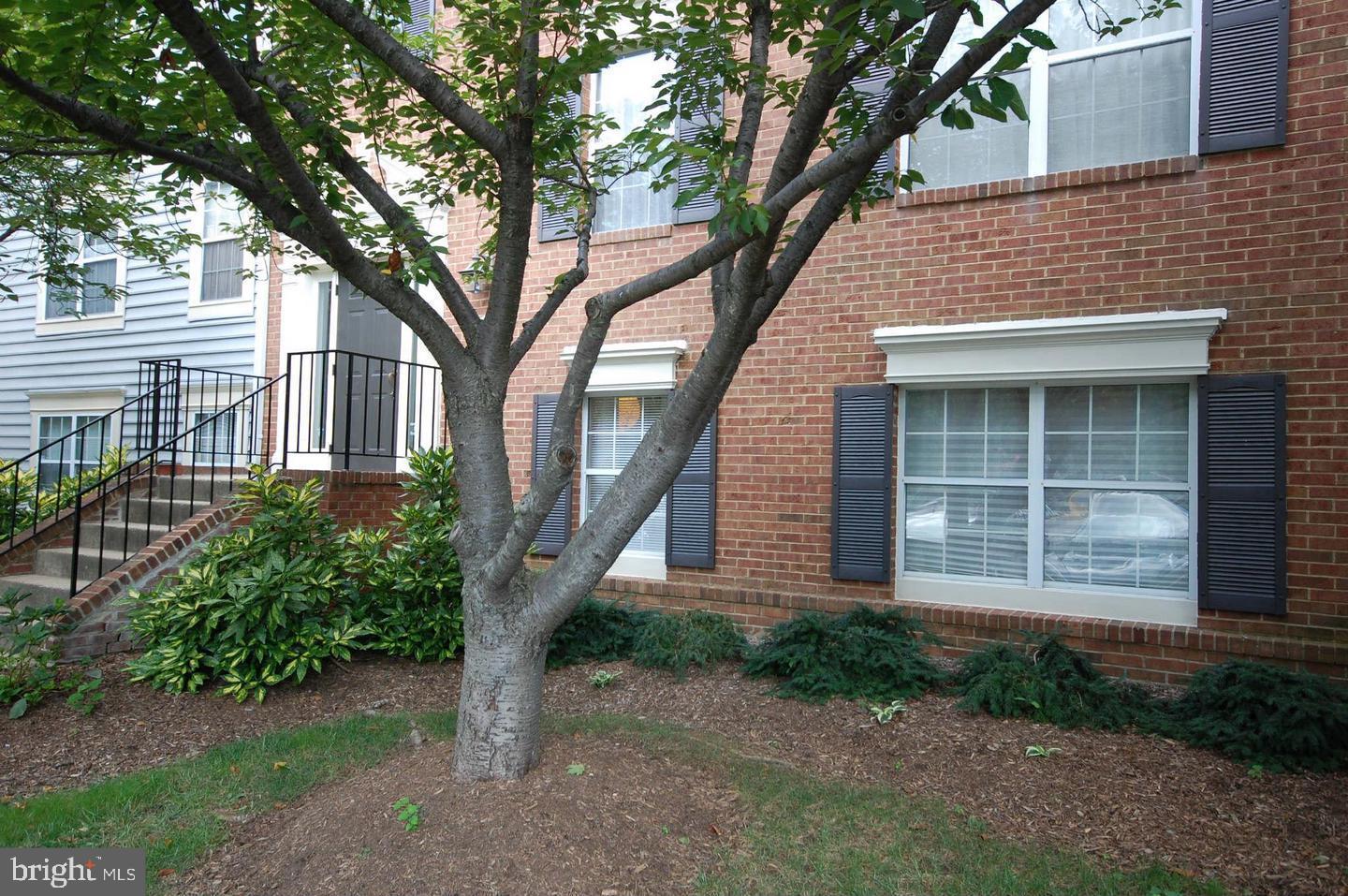 7746 New Providence DRIVE Unit: 96