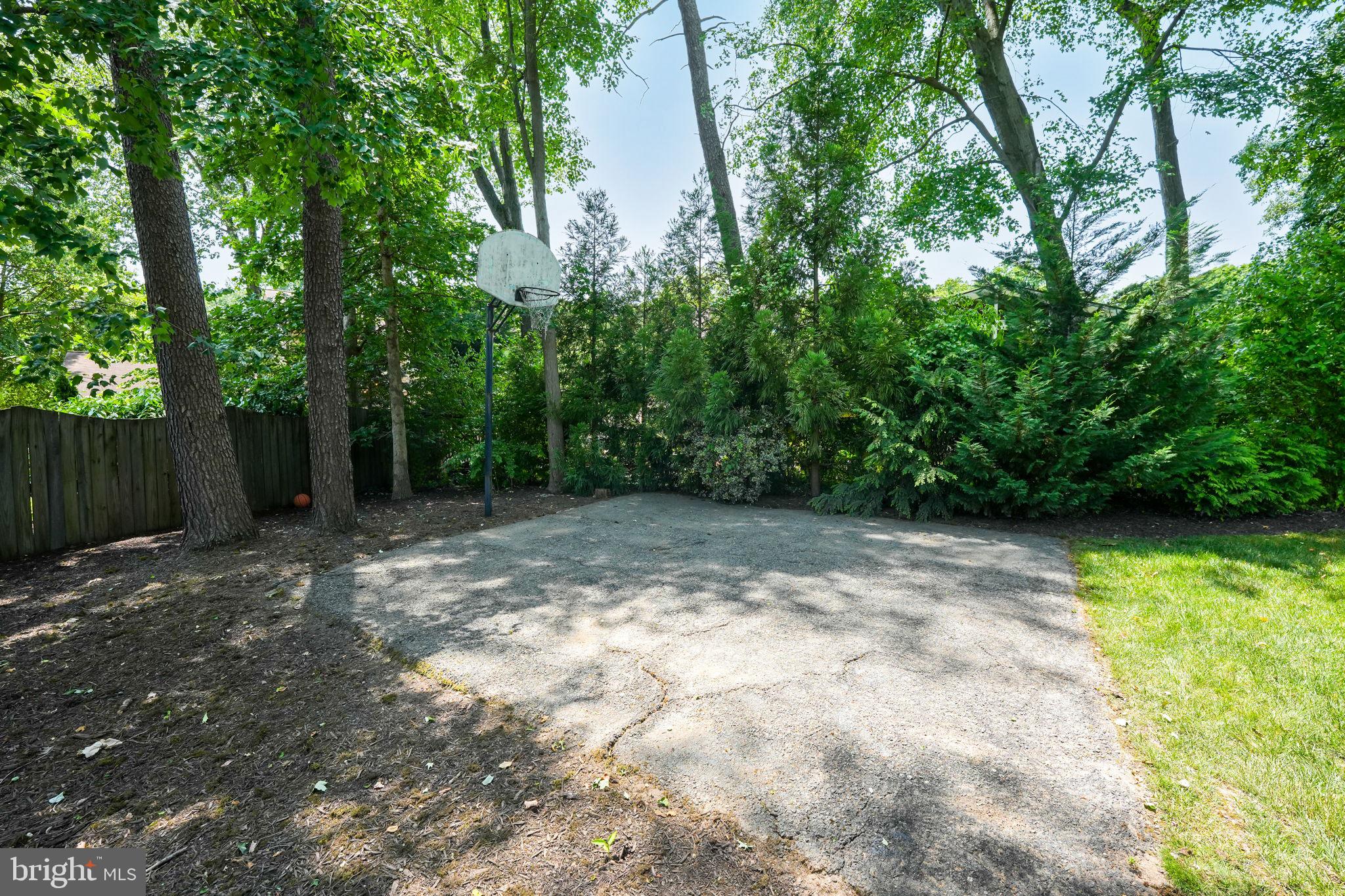 9607 Little Cobbler COURT