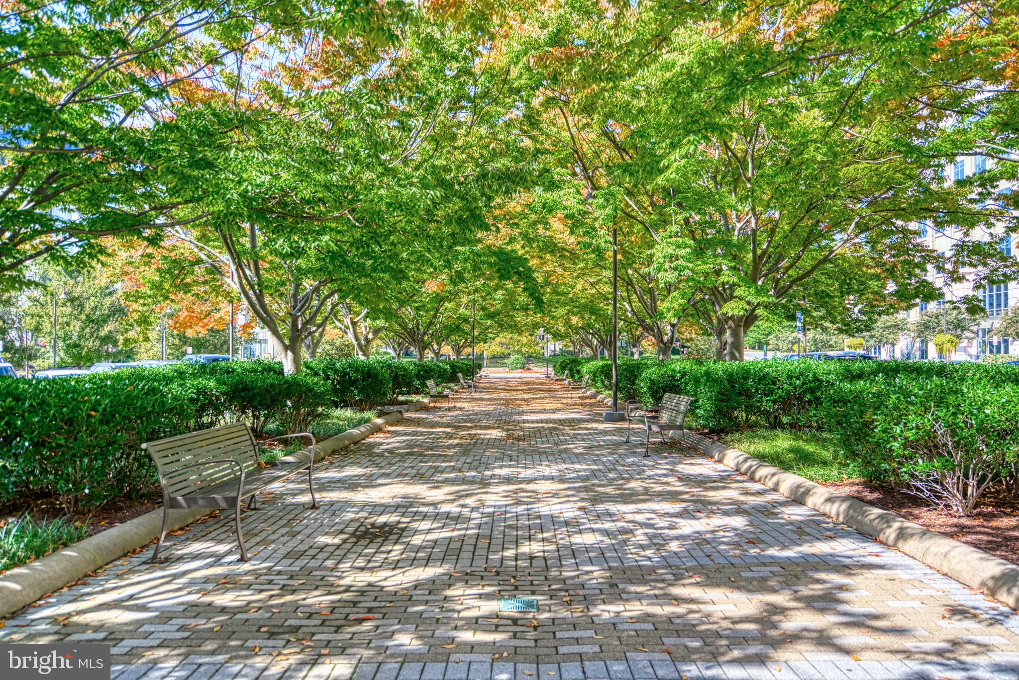 11760 Sunrise Valley DRIVE Unit: 809