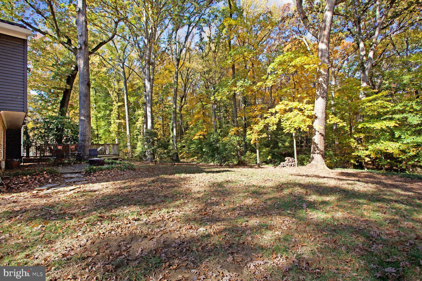 2300 Cheshire LANE