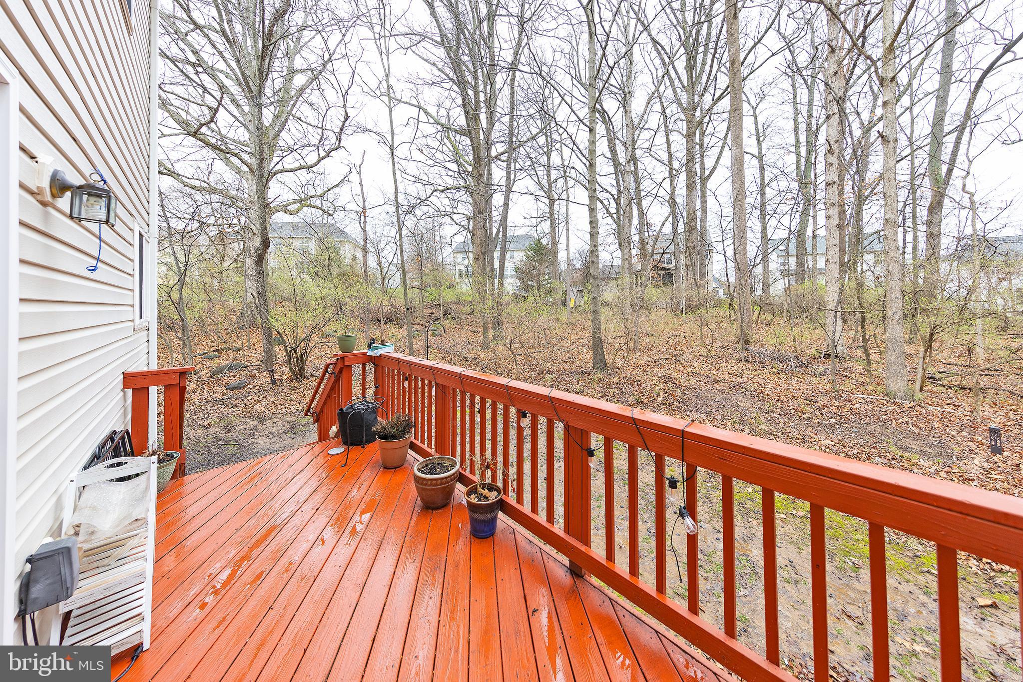 14602 Mount Olive ROAD