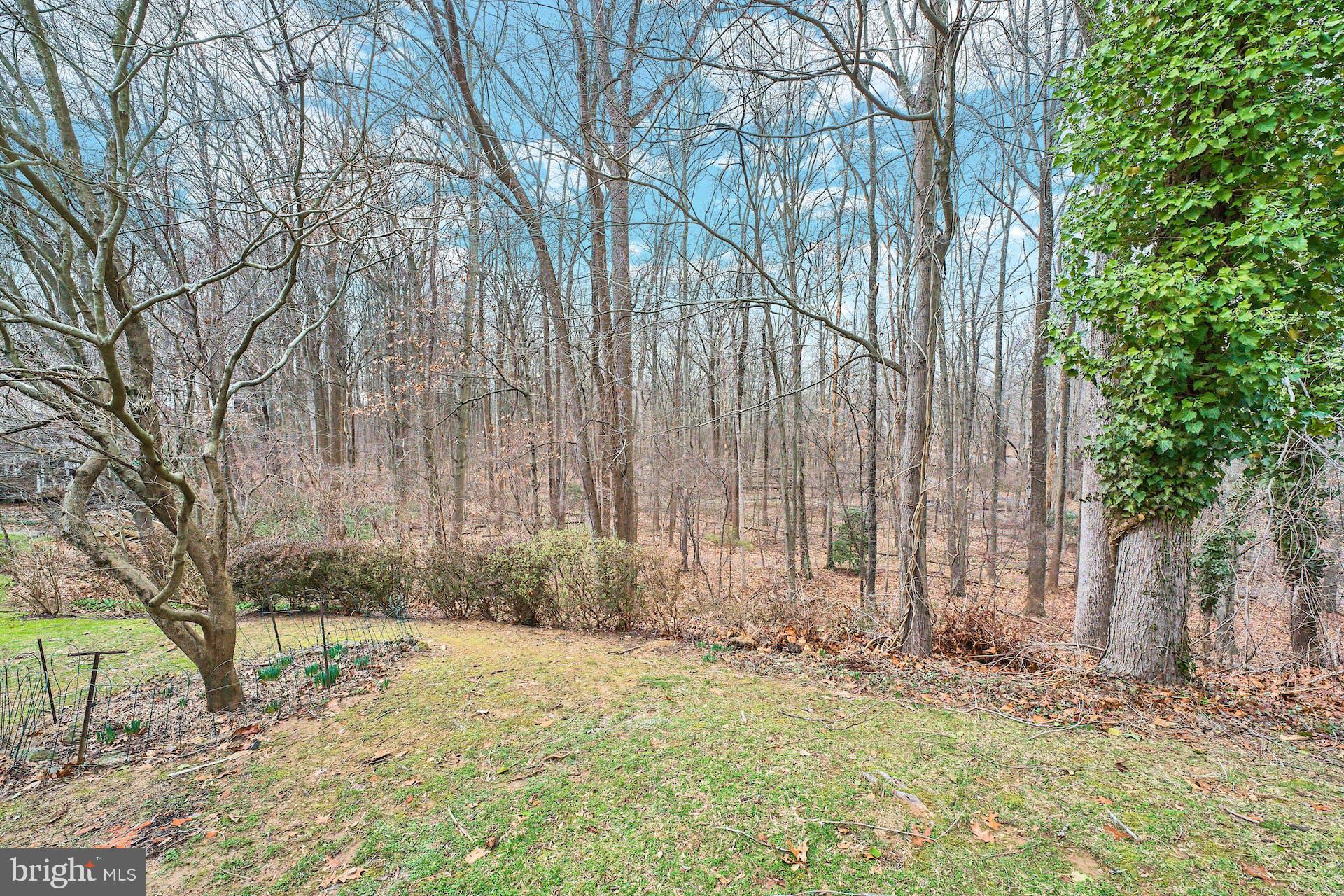 5702 Wooden Hawk Lane