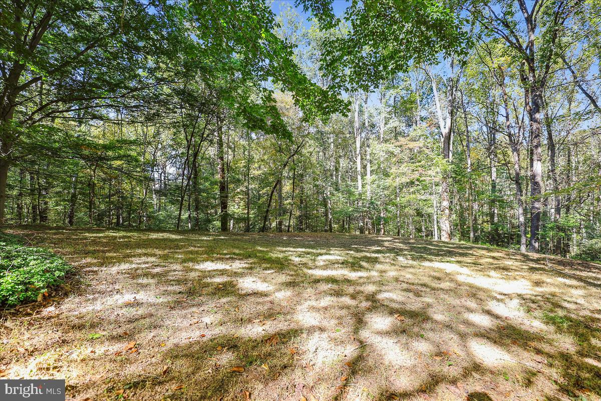 10818 Nicholsridge Road