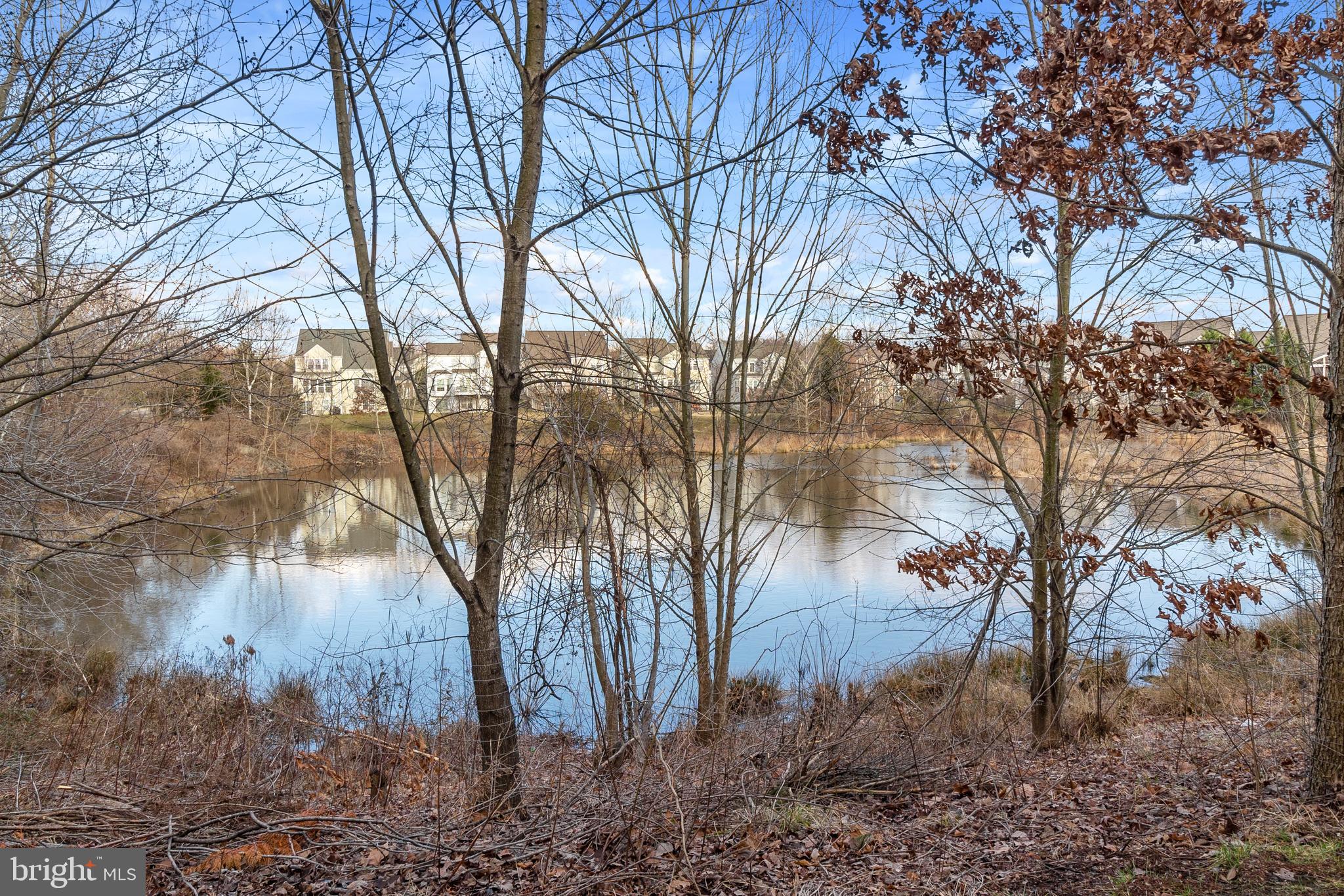 13431 Wood Lilly Ln