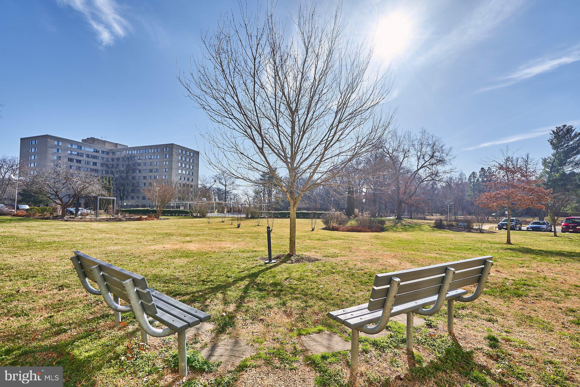6641 Wakefield Drive Unit: 503