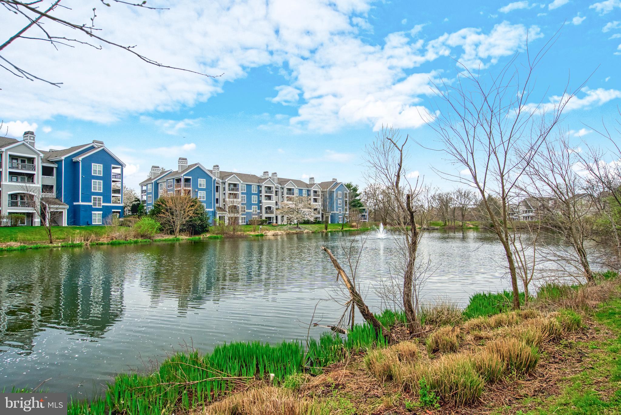 14325 Climbing Rose Way #101
