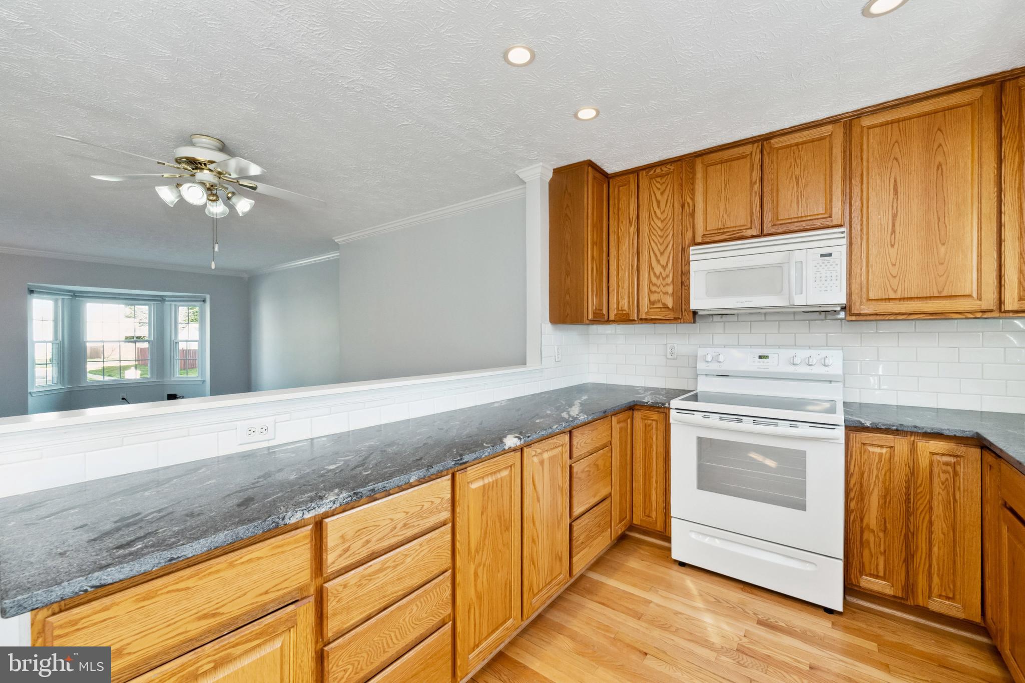 13997 Antonia Ford Ct