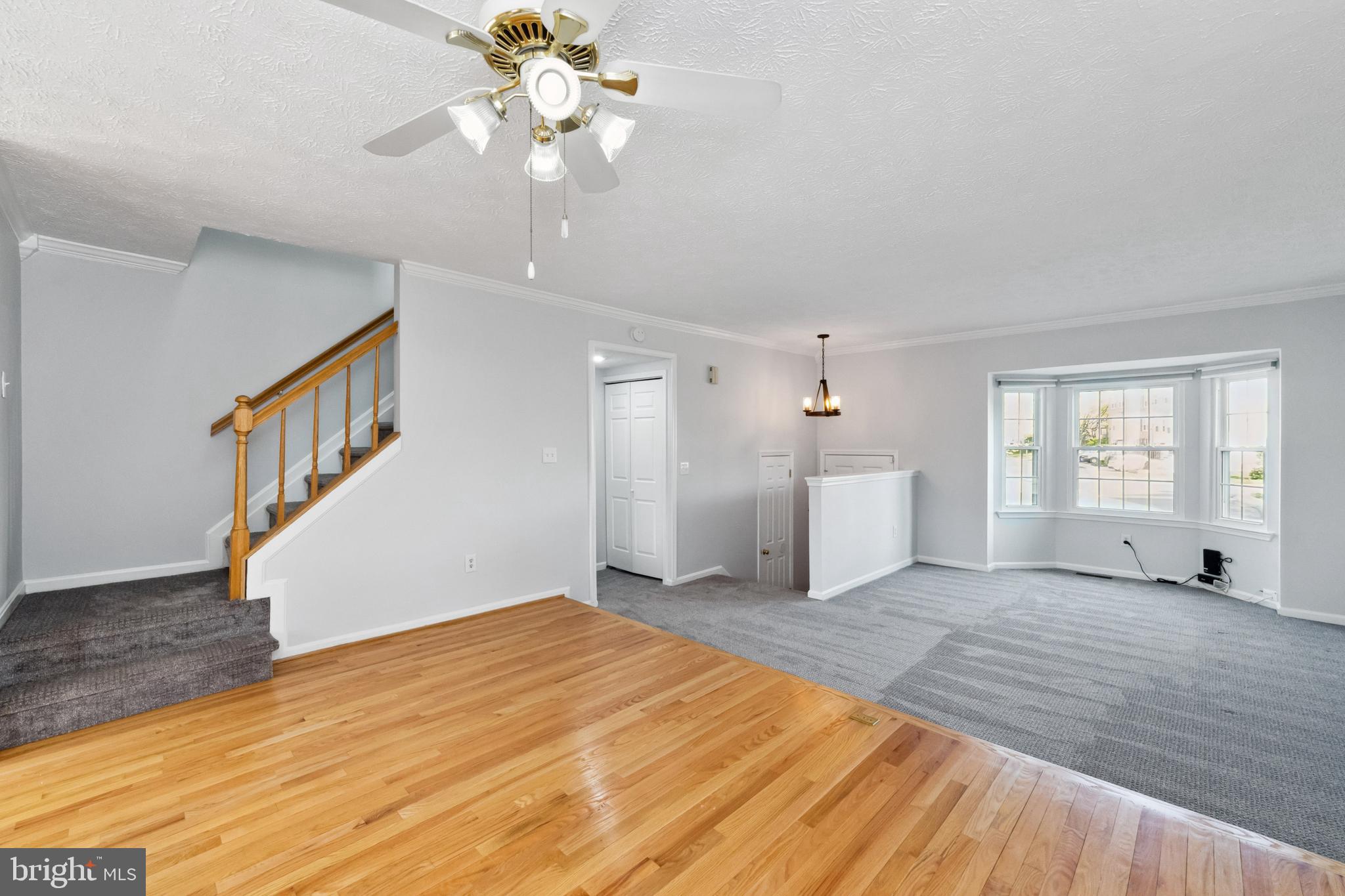 13997 Antonia Ford Ct