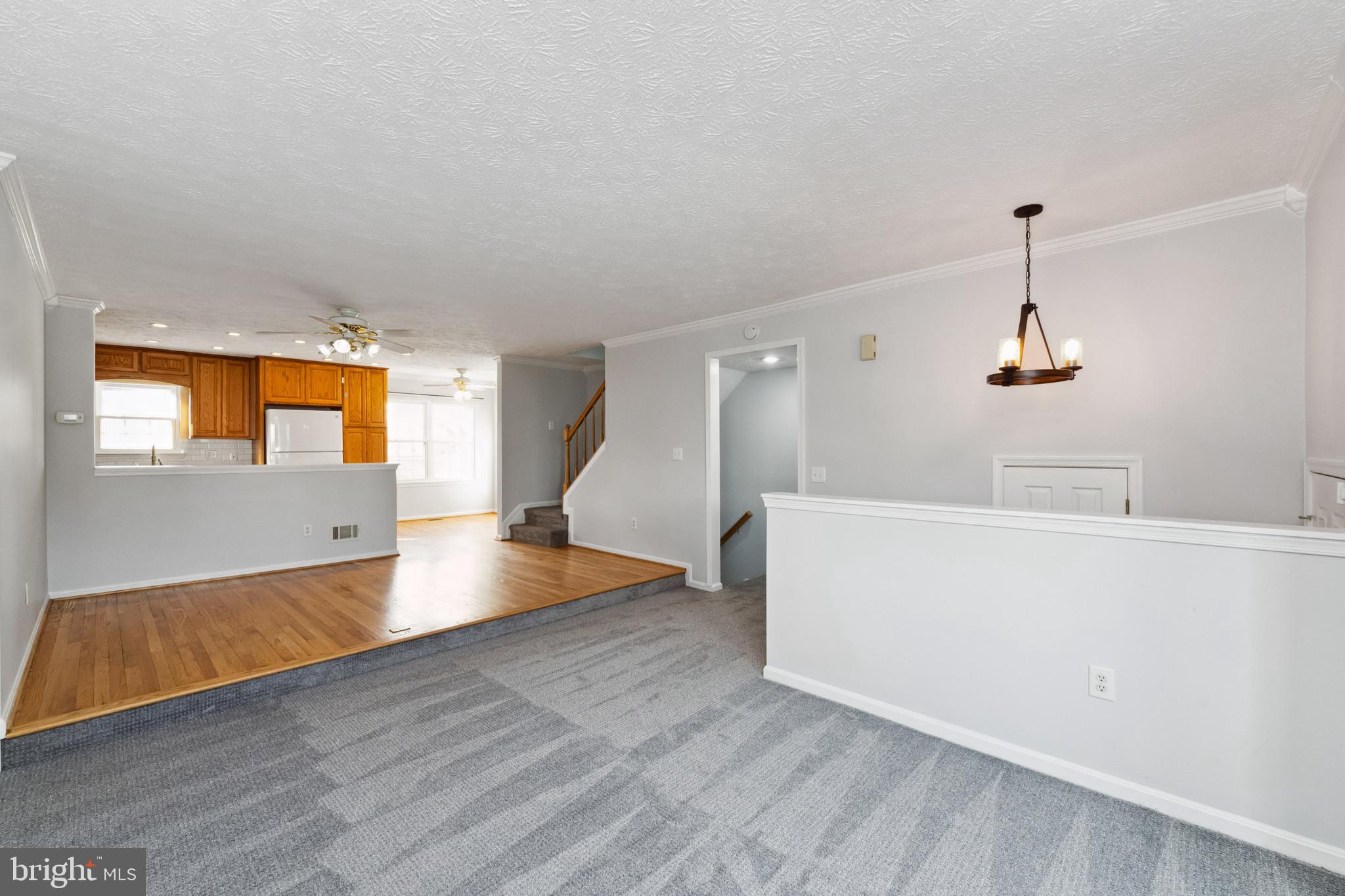 13997 Antonia Ford Ct