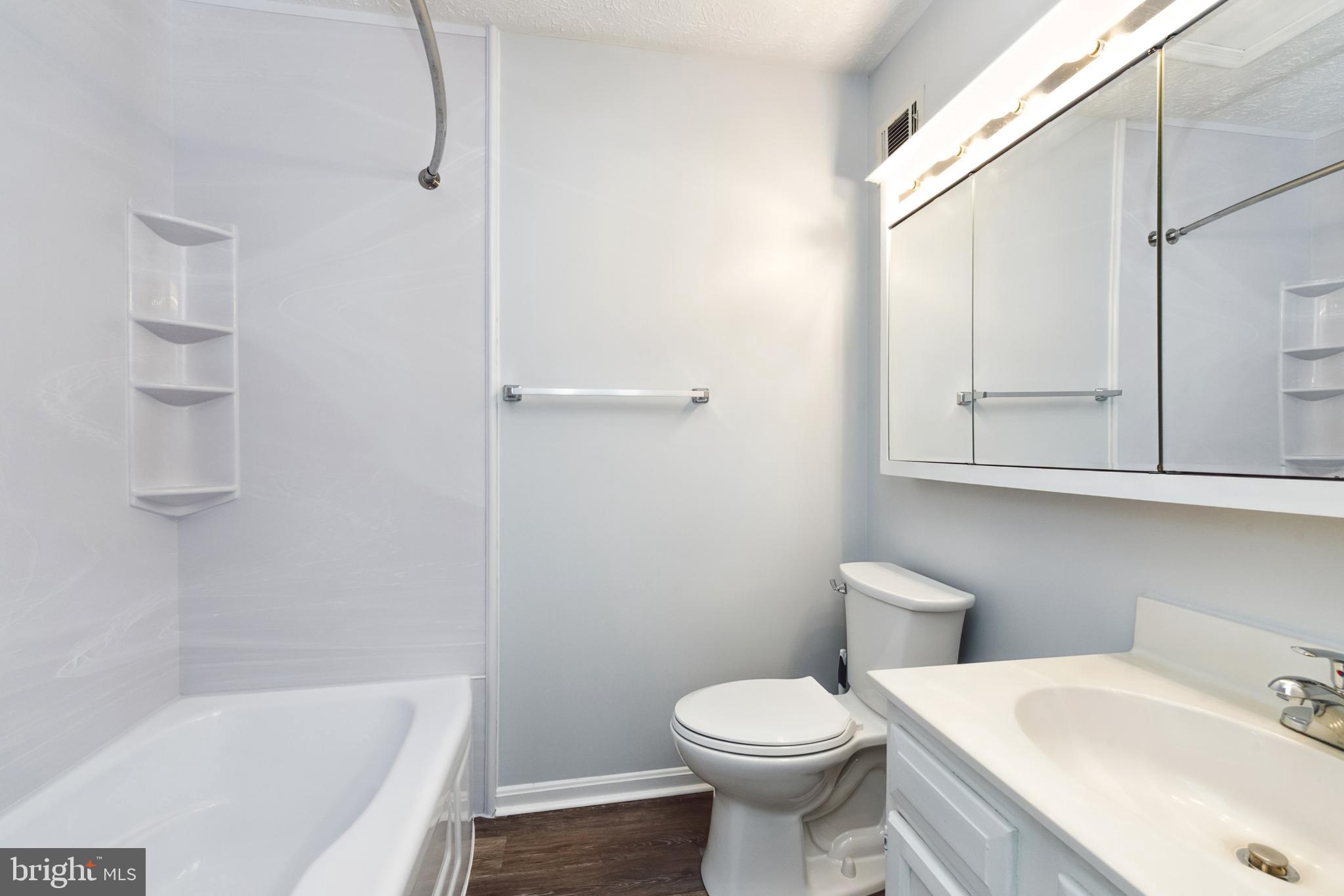 13997 Antonia Ford Ct