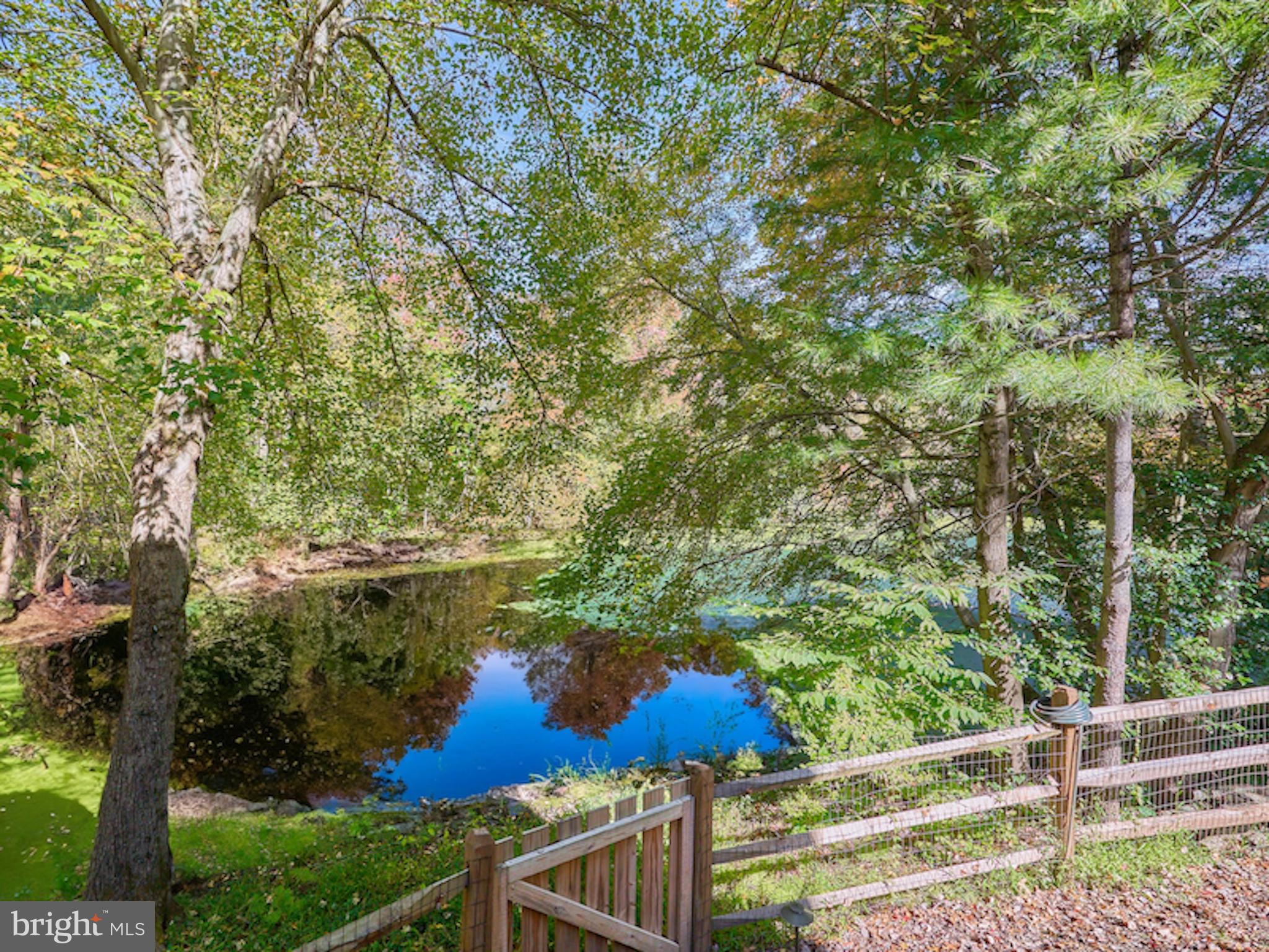 10854 Country Pond