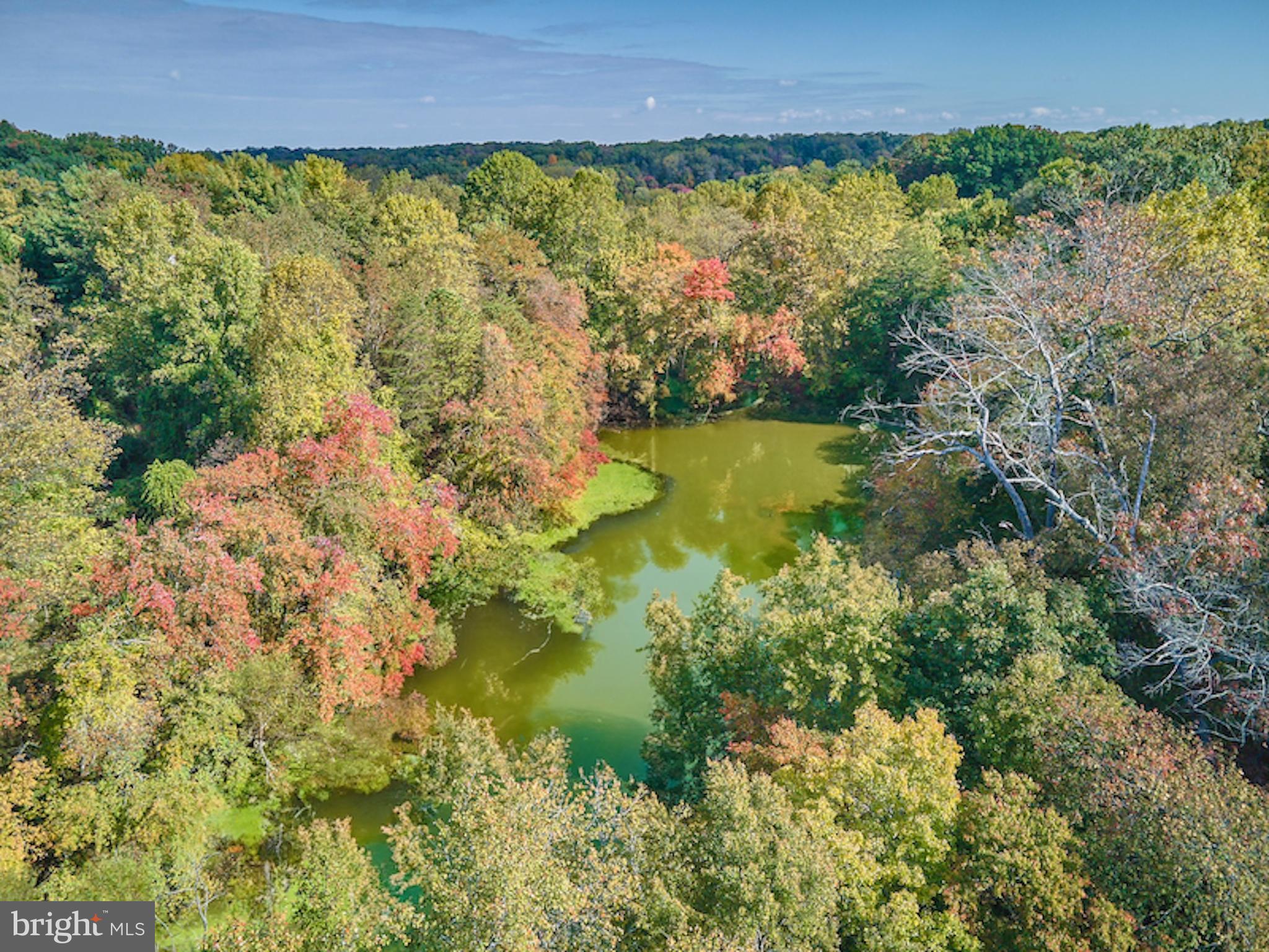 10854 Country Pond