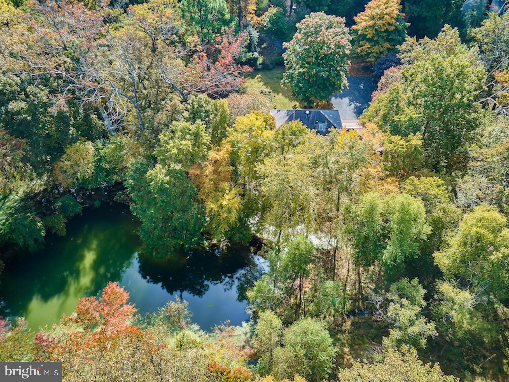10854 Country Pond