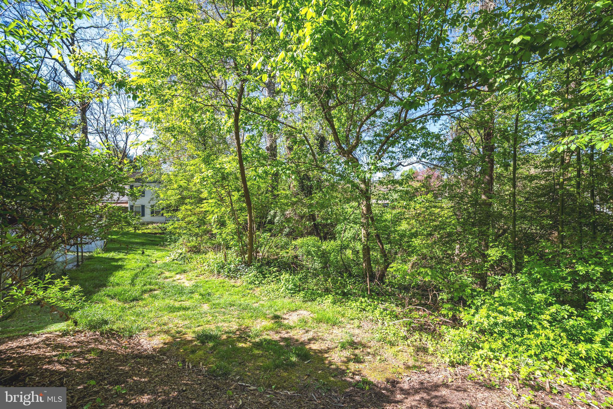 1705 Ivy Oak Sq