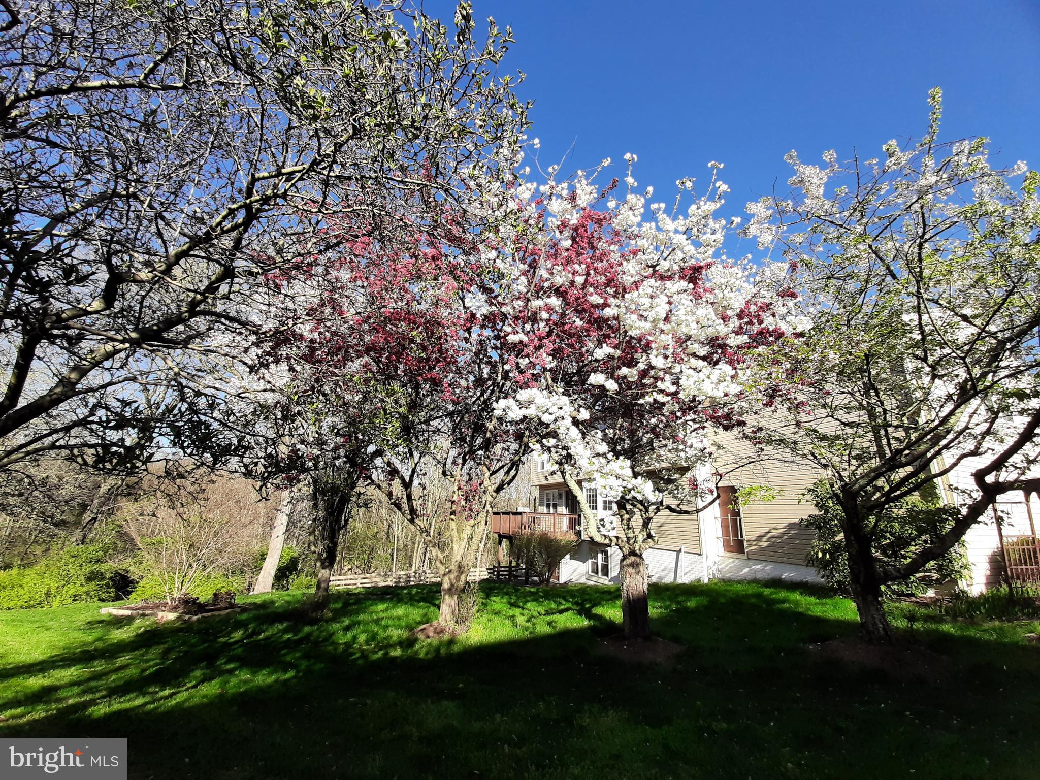 13180 LAZY GLEN LANE