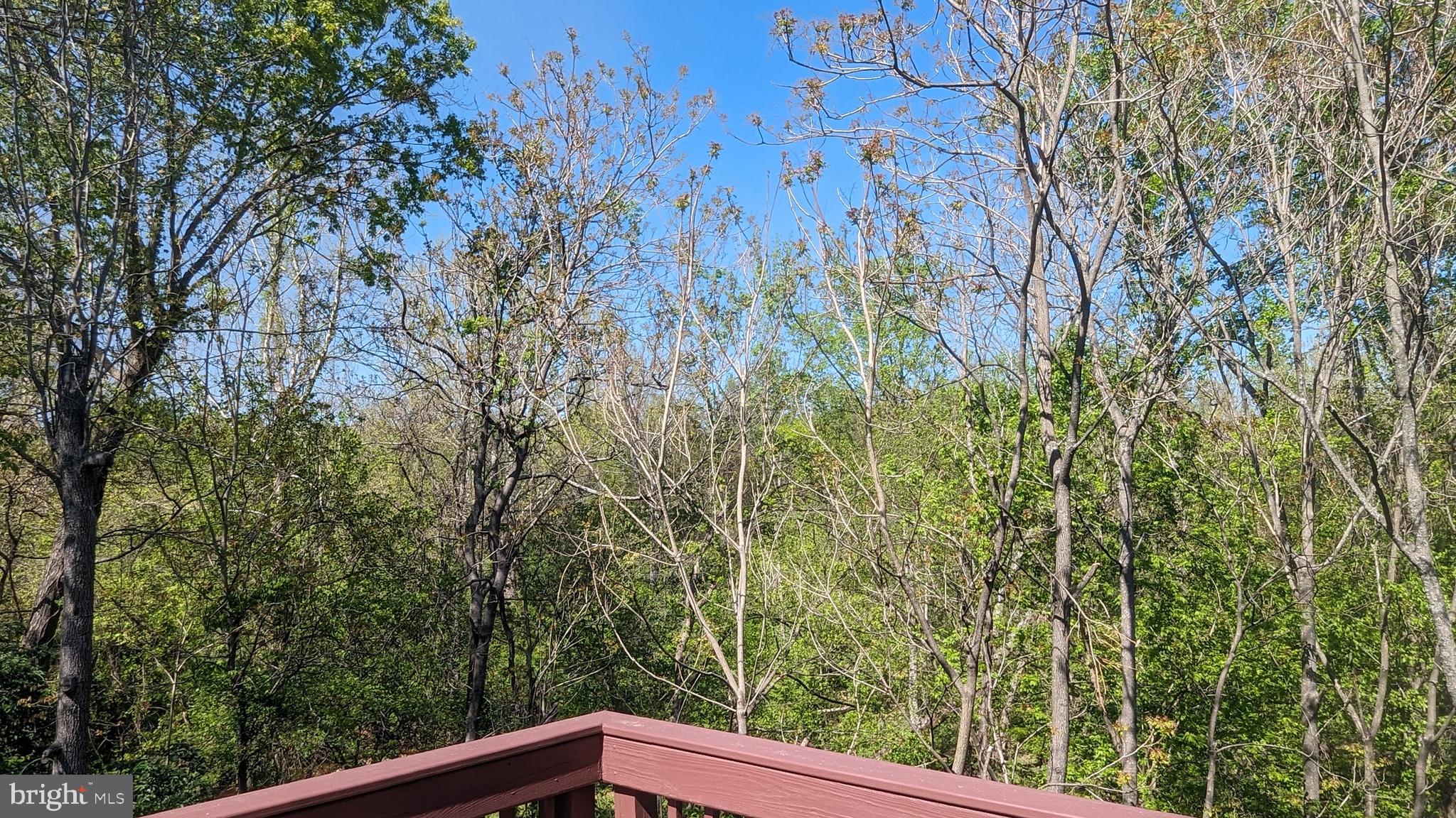 13180 LAZY GLEN LANE