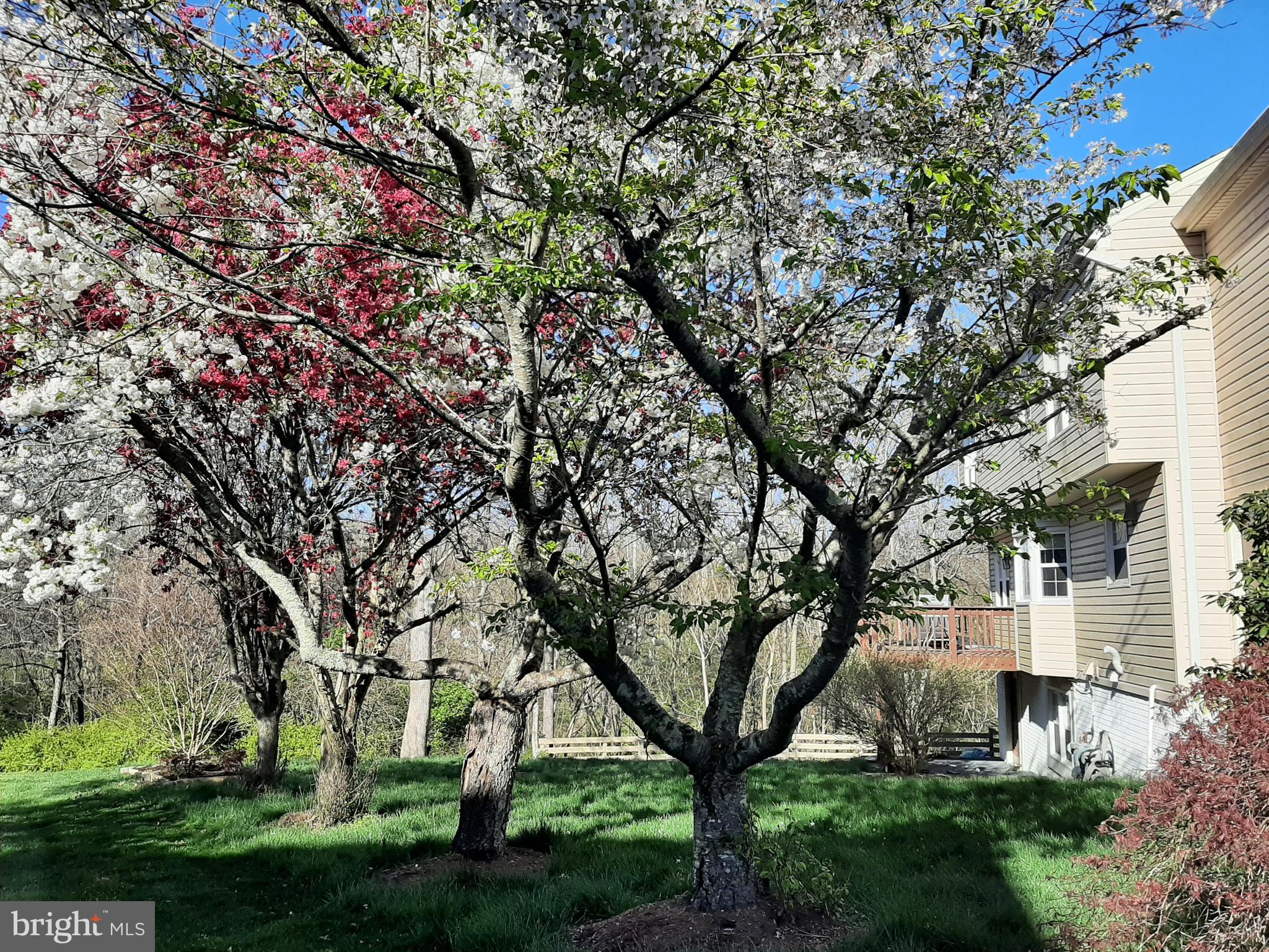 13180 LAZY GLEN LANE