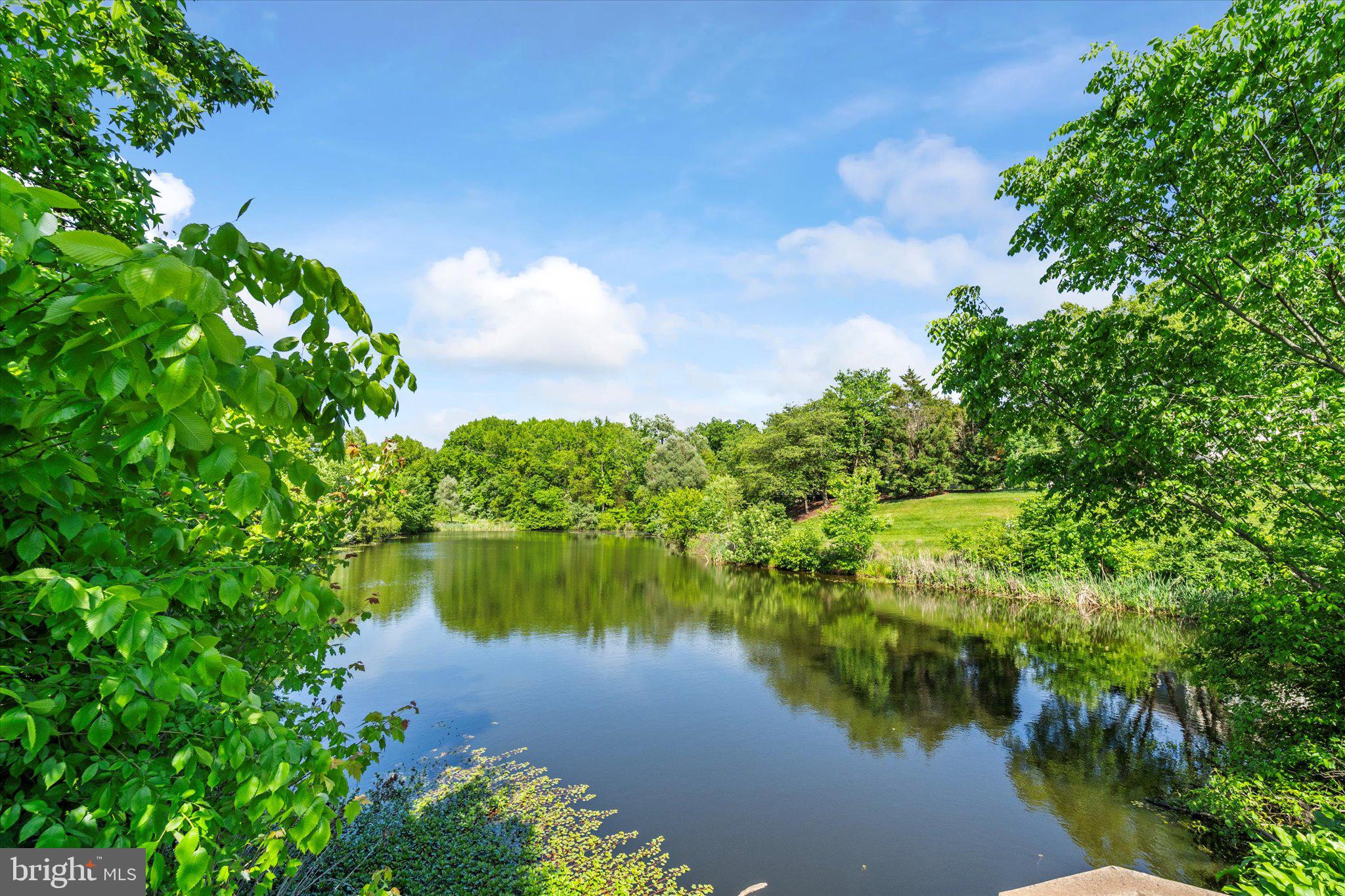 14634 Stream Pond Dr