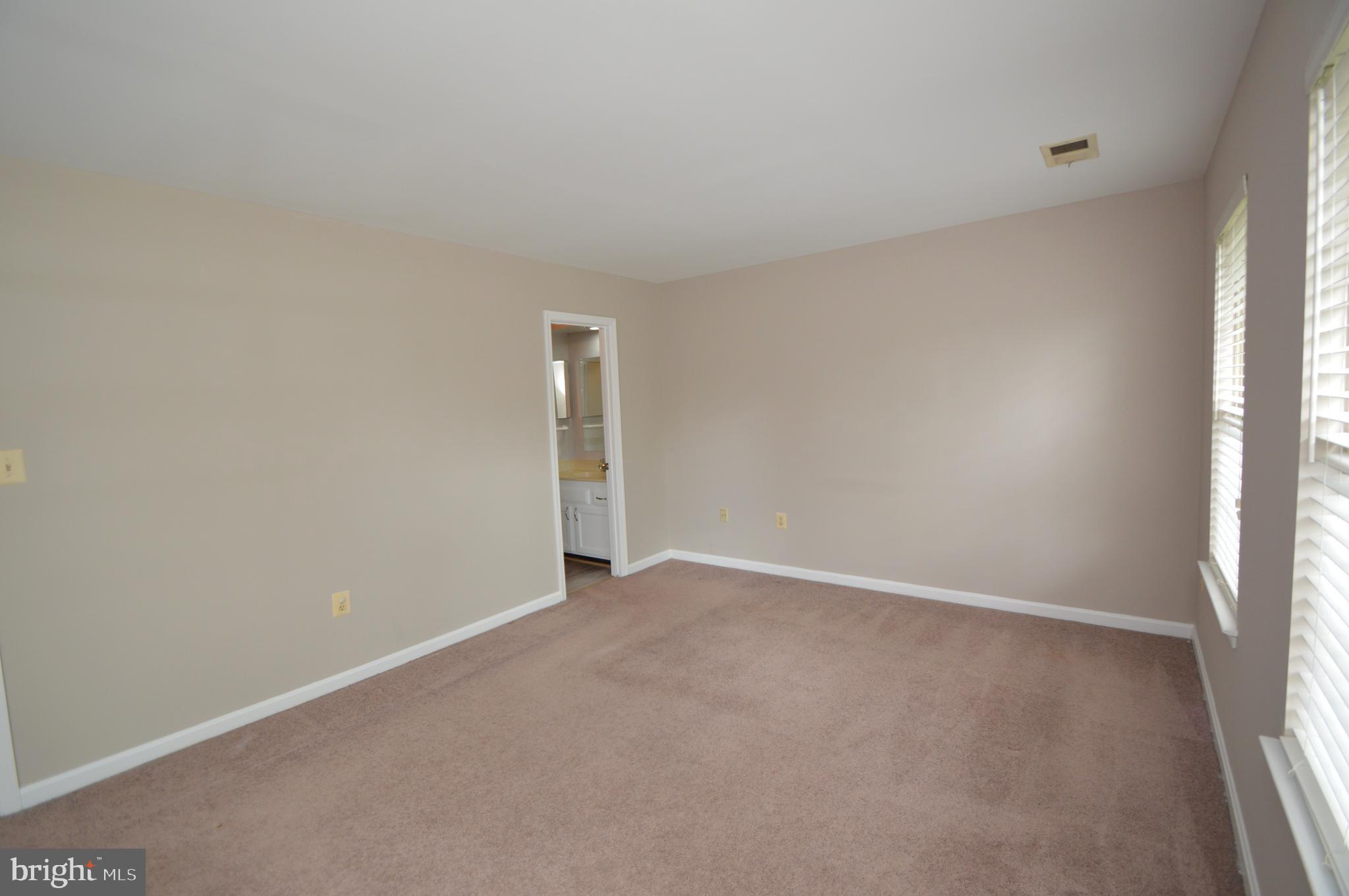 3924 Collis Oak Ct