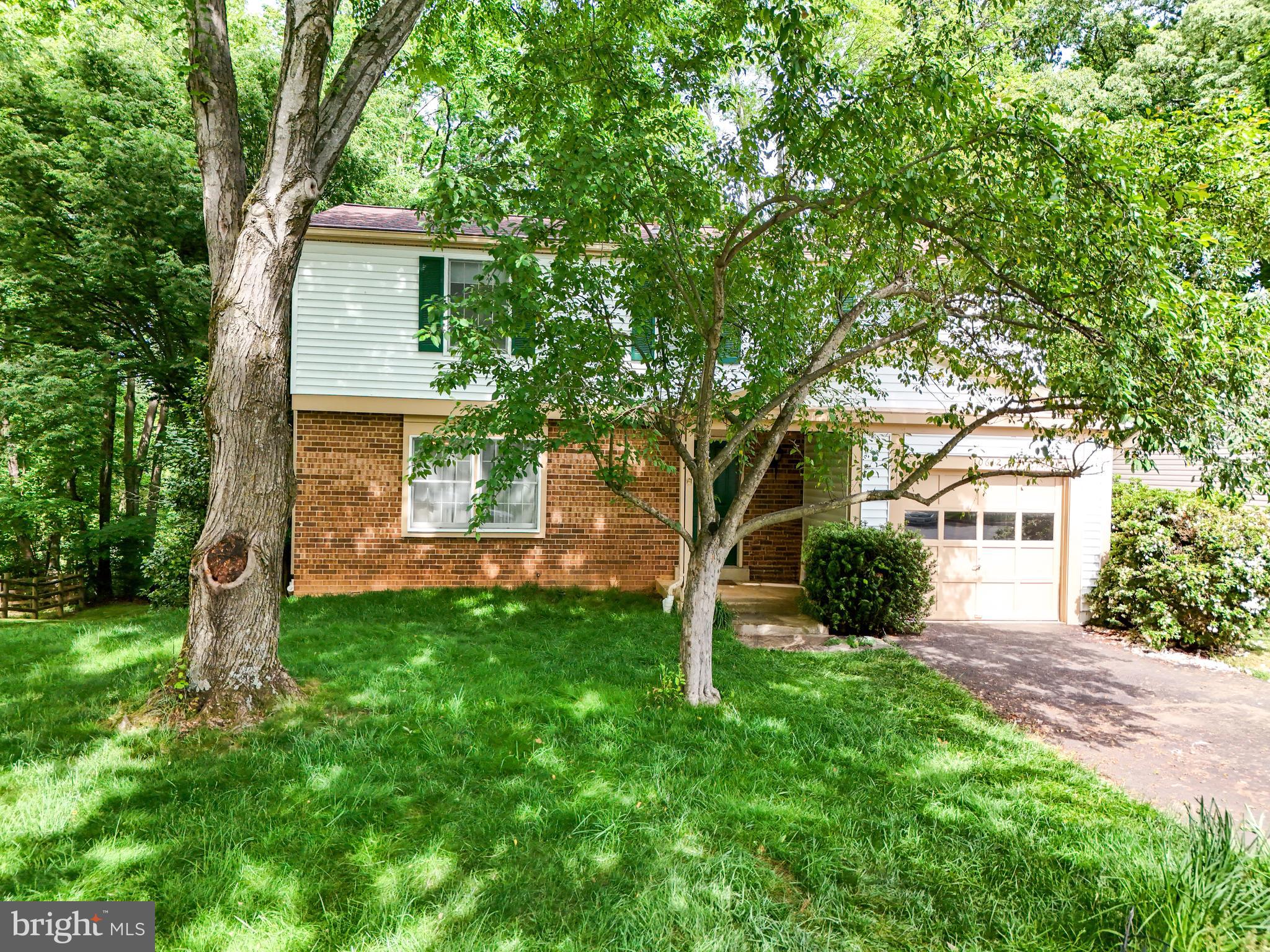 10612 Goldeneye Ln