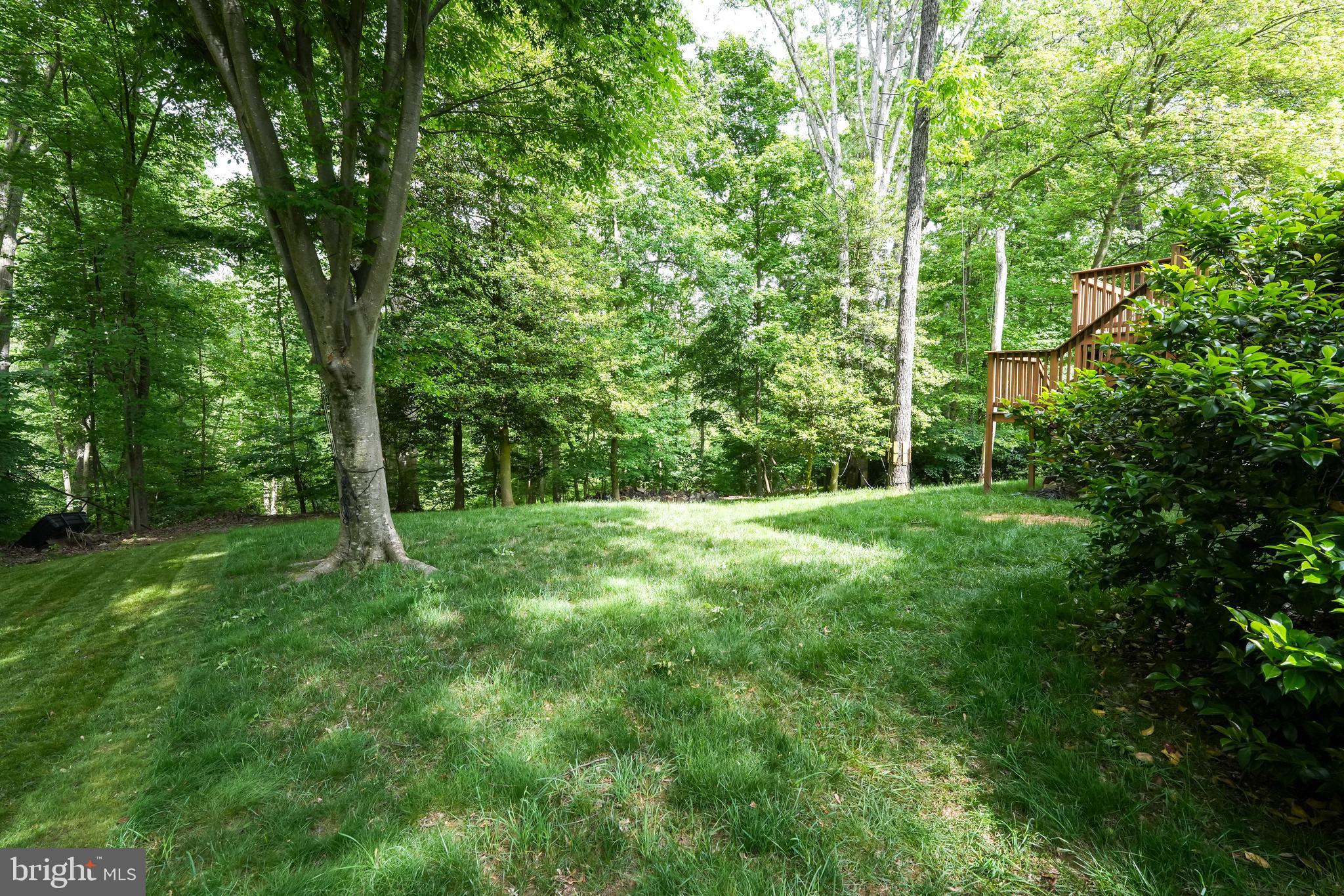 10612 Goldeneye Ln