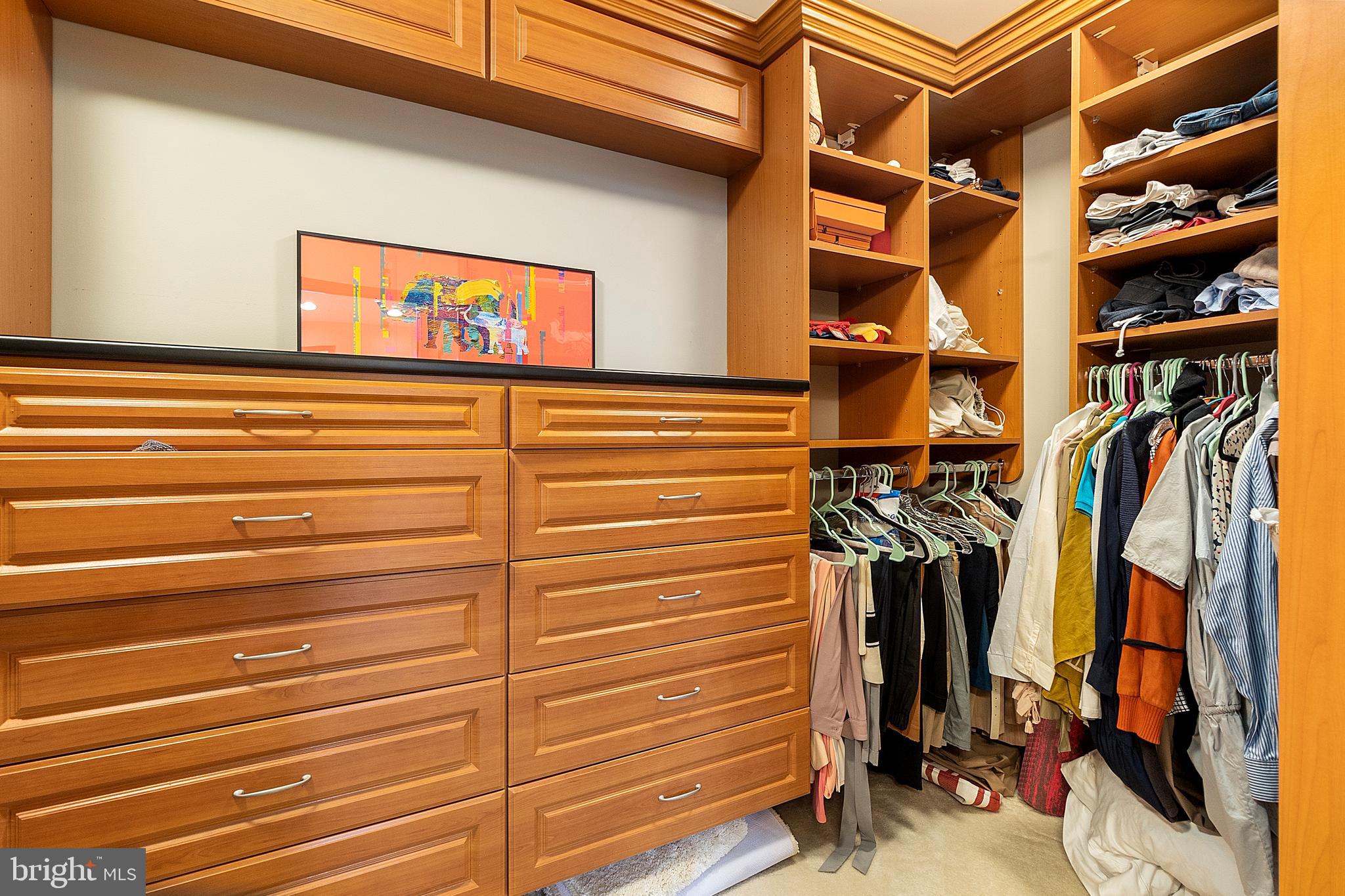13431 Wood Lilly Ln