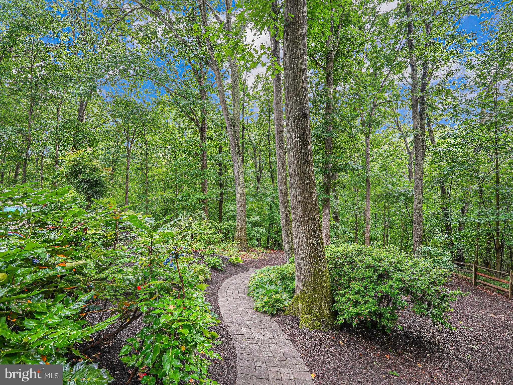 1920 Buckthorn Ln