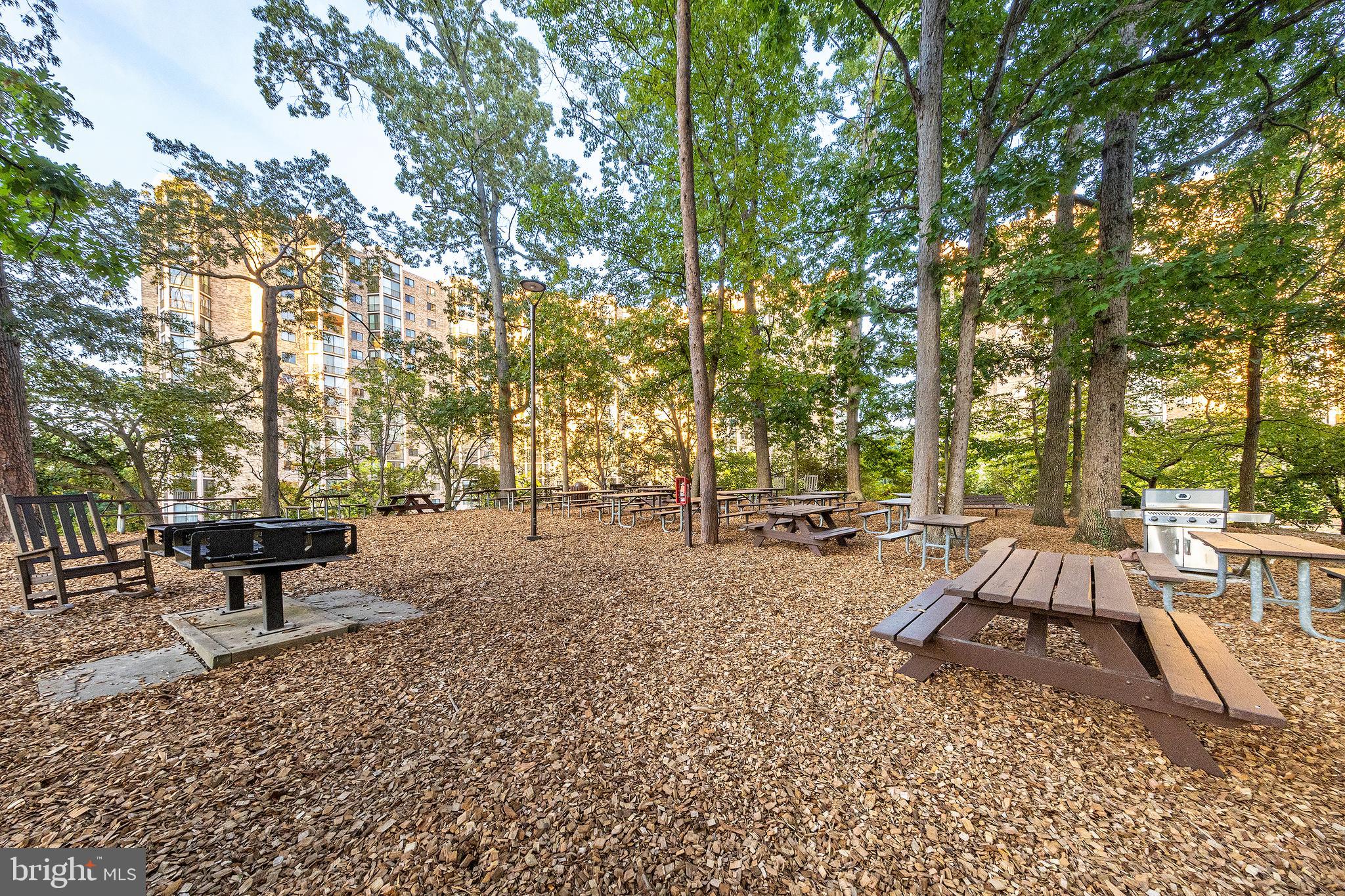 5904 Mount Eagle Dr #317