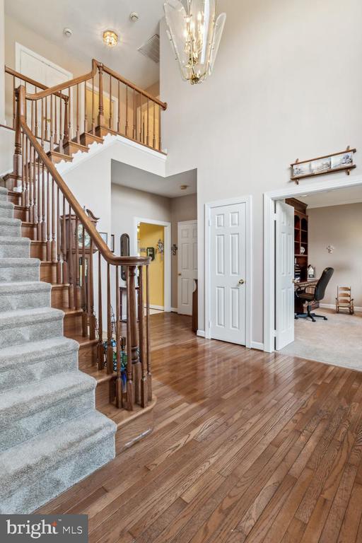 7363 ANNANDALE COURT