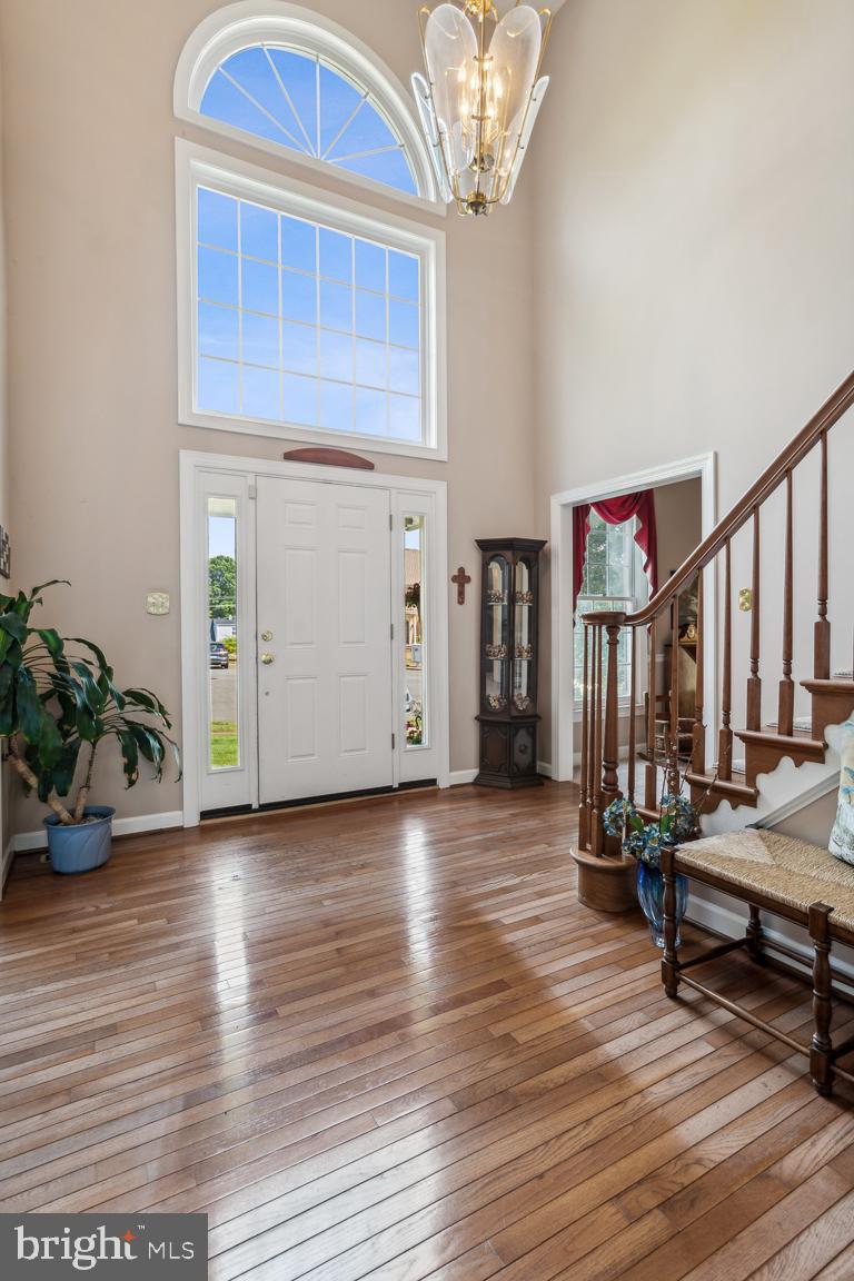 7363 Annandale Ct