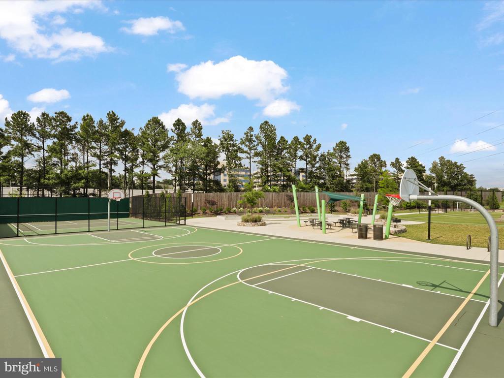 12914 Sunrise Ridge Aly #62