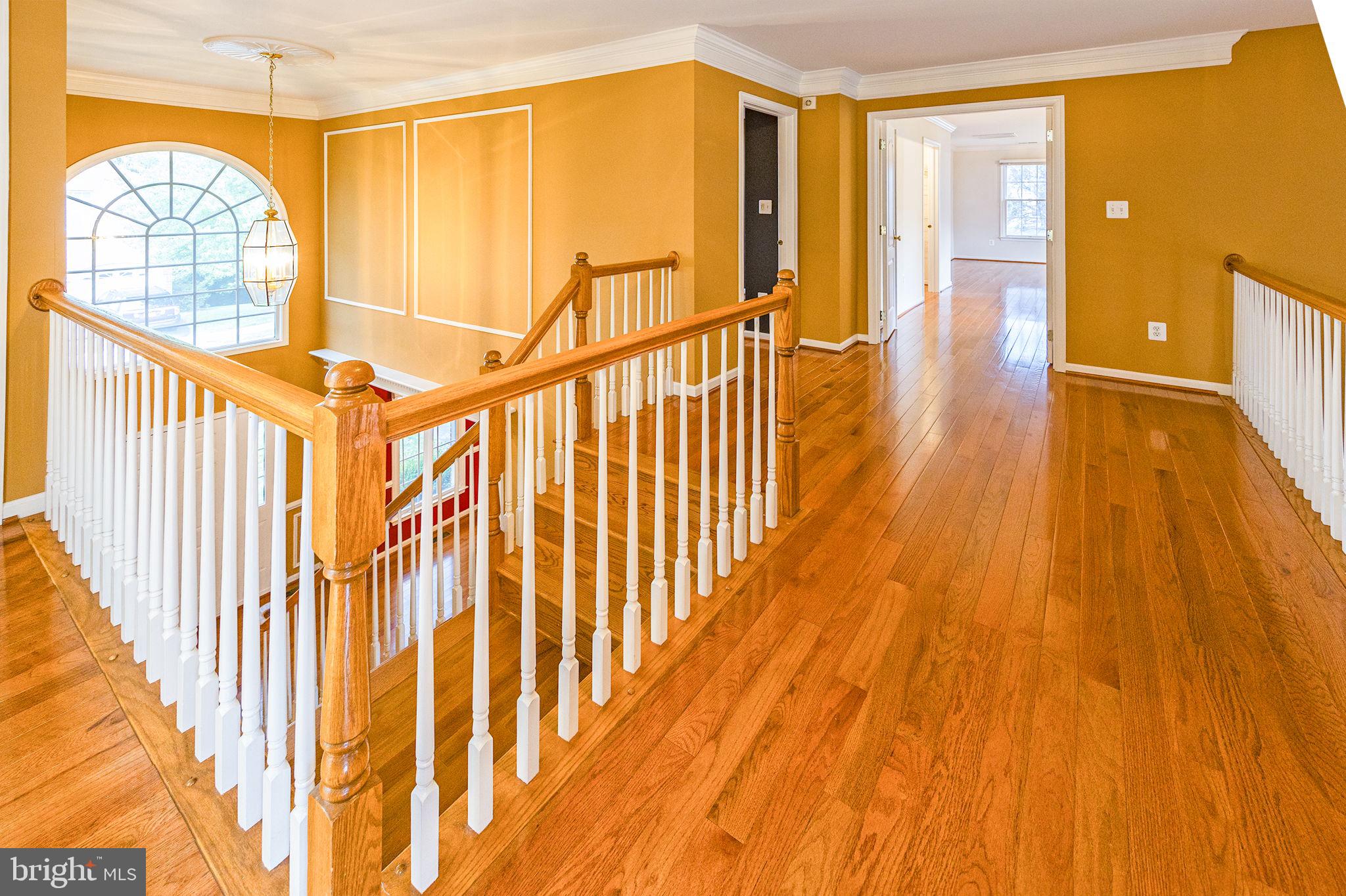 2914 BLUE HOLLY LN