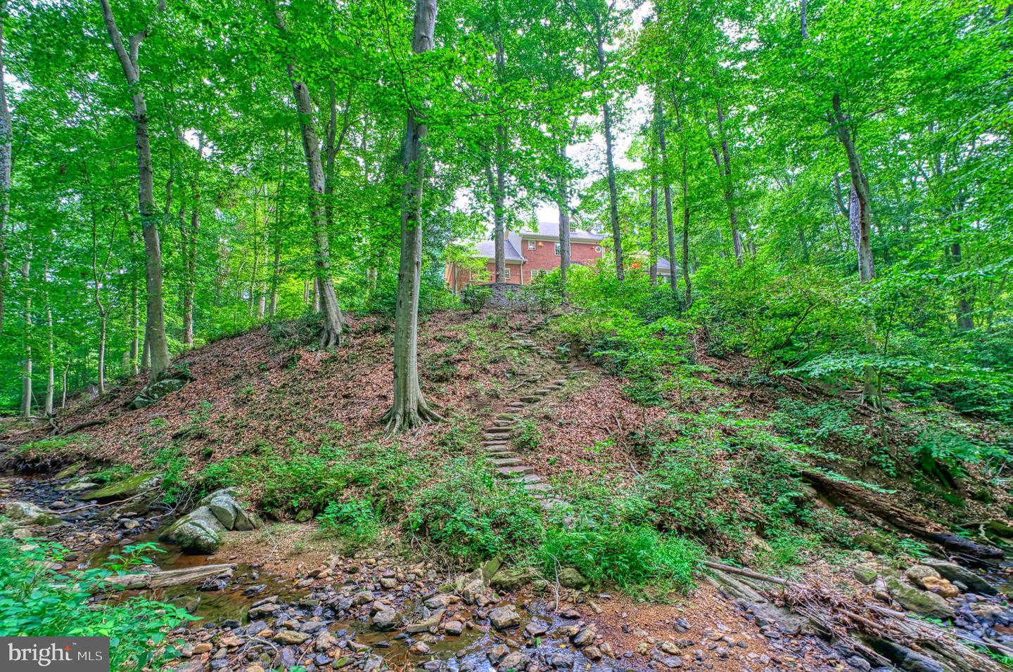 8700 Rustic Oak Ct