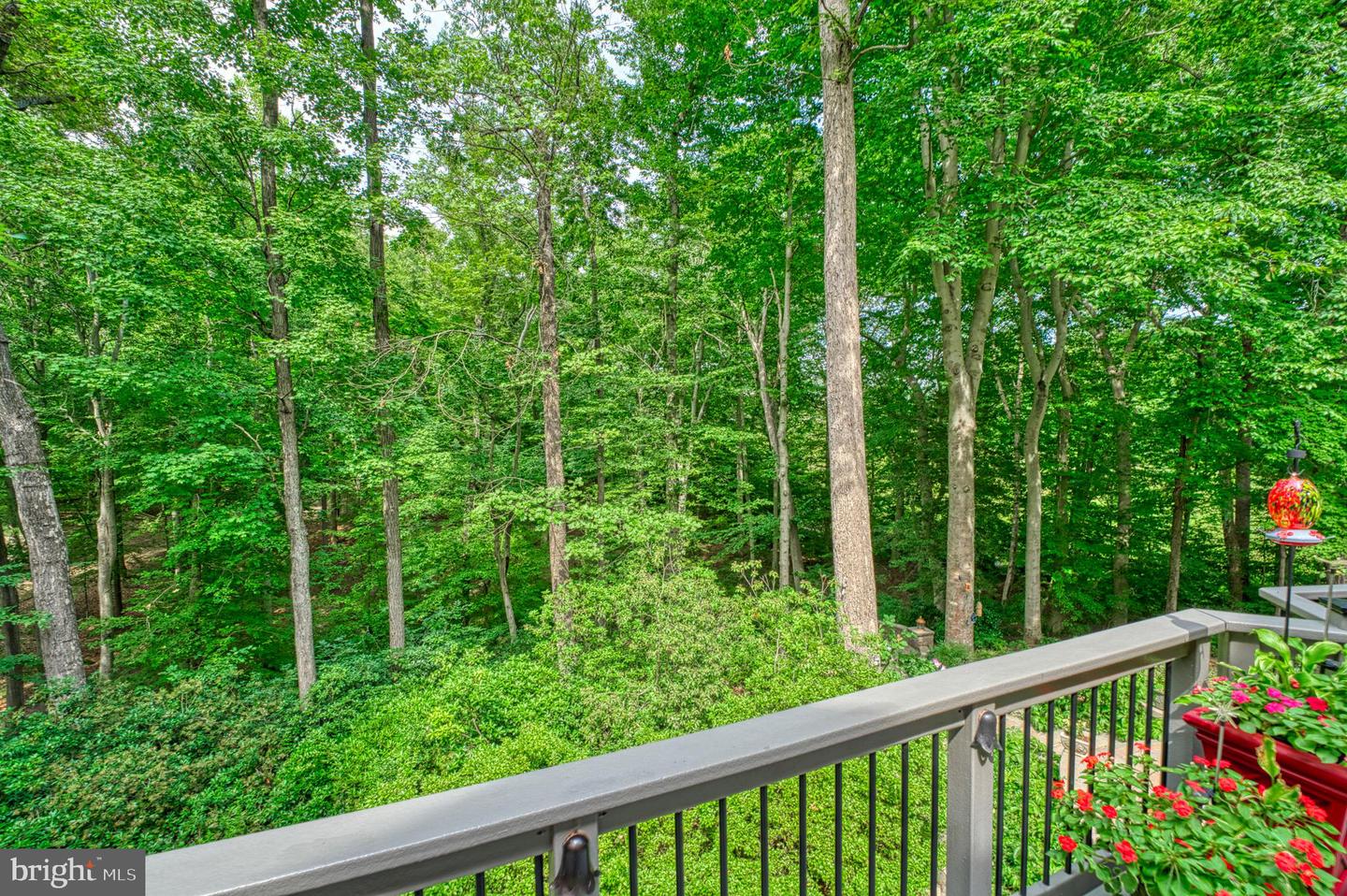 8700 Rustic Oak Ct