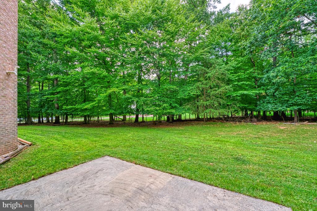 519 Seneca Green Way