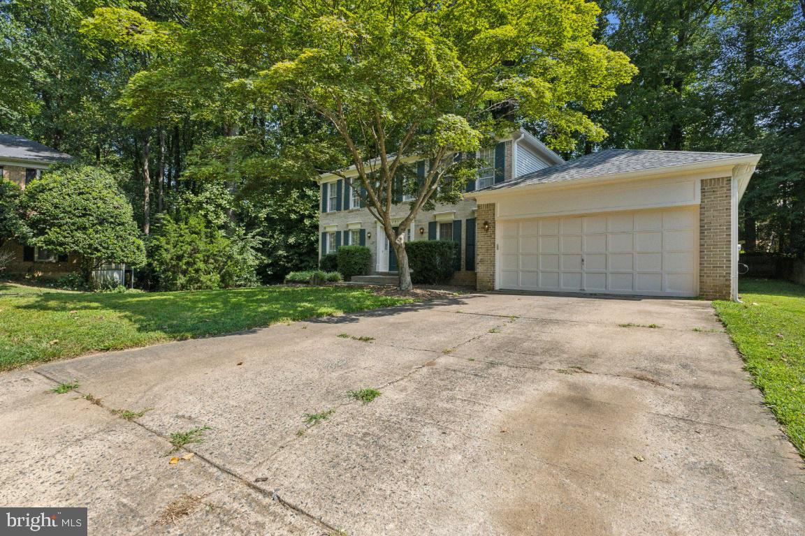 5203 Wilson Woods Ct