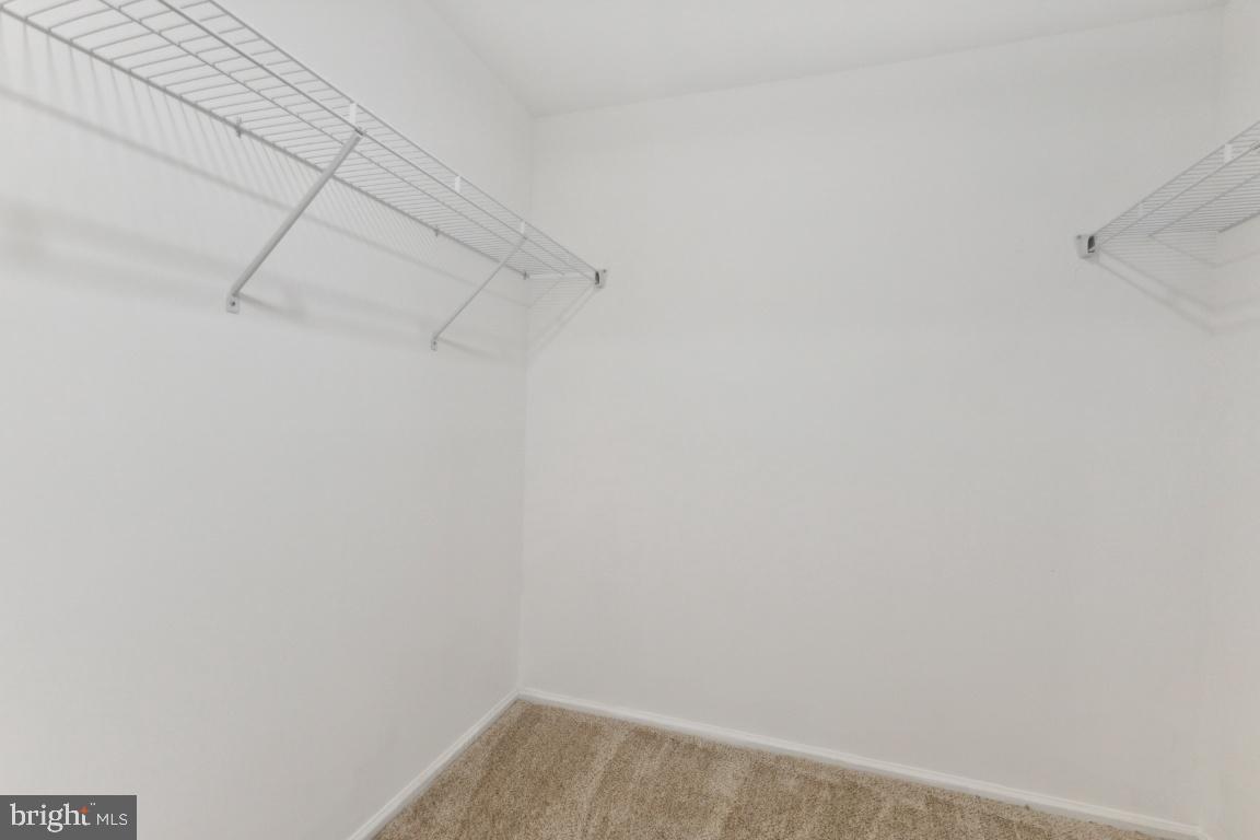 5203 Wilson Woods Ct