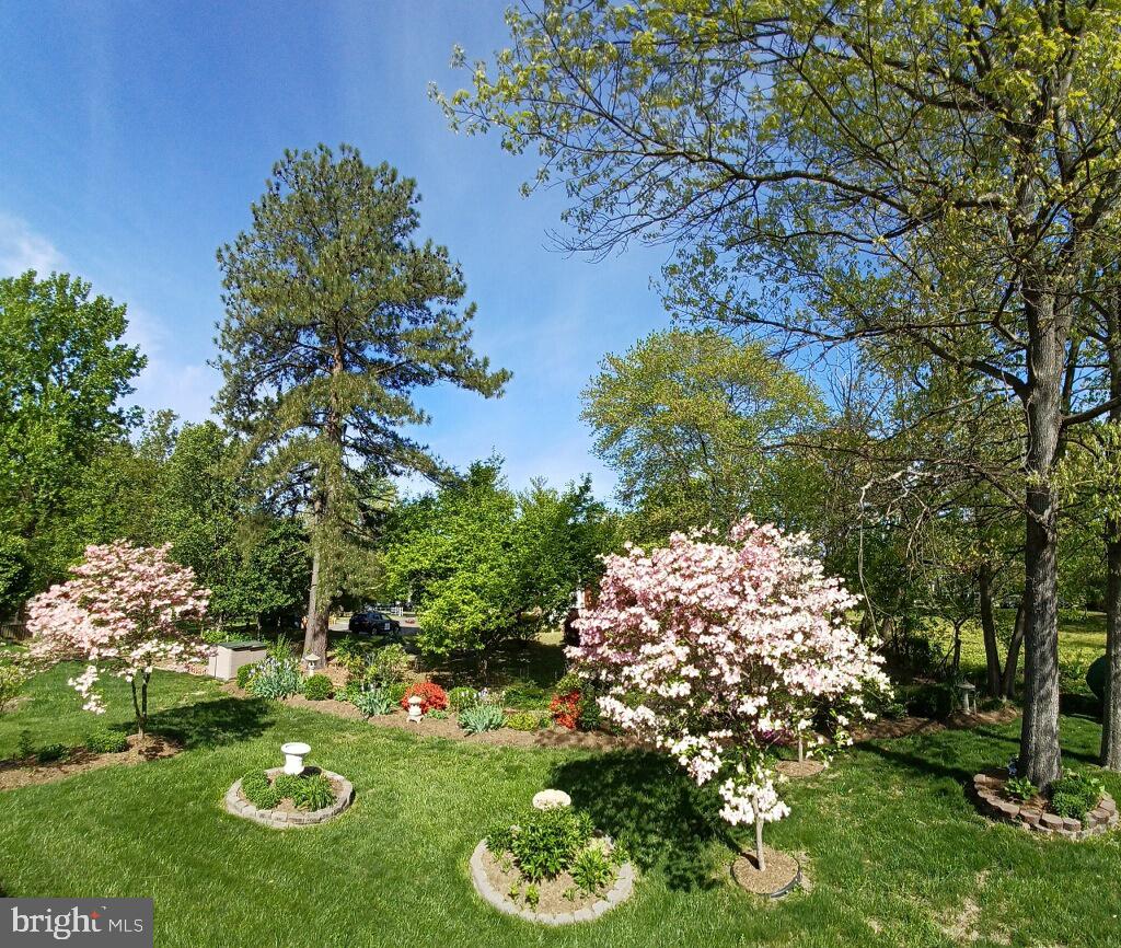 5516 Newhall Ct