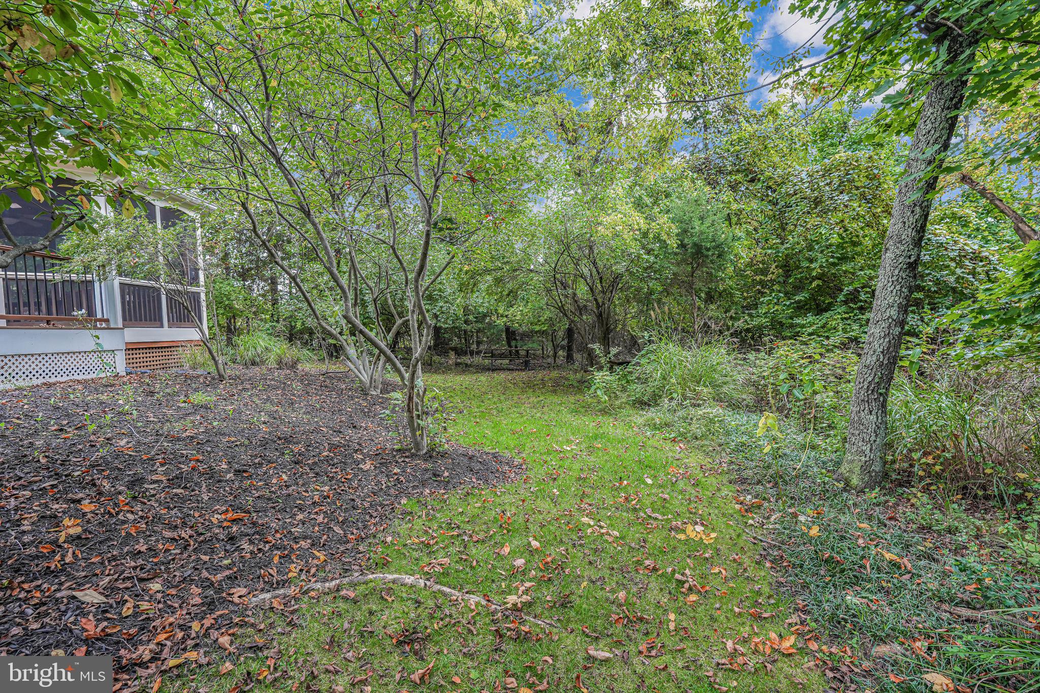 3601 Lamplight Dr