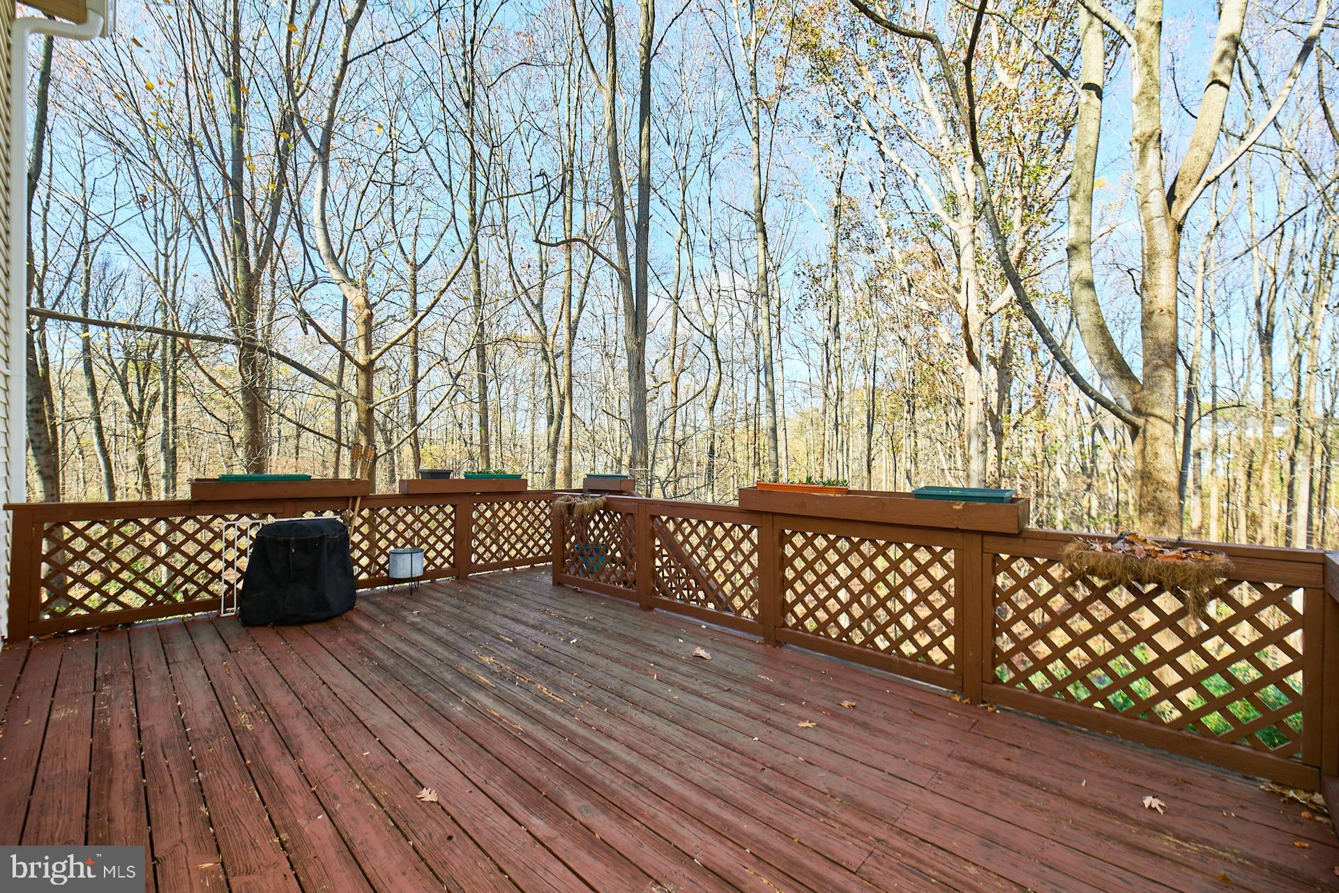 5704 Walnut Wood Ln